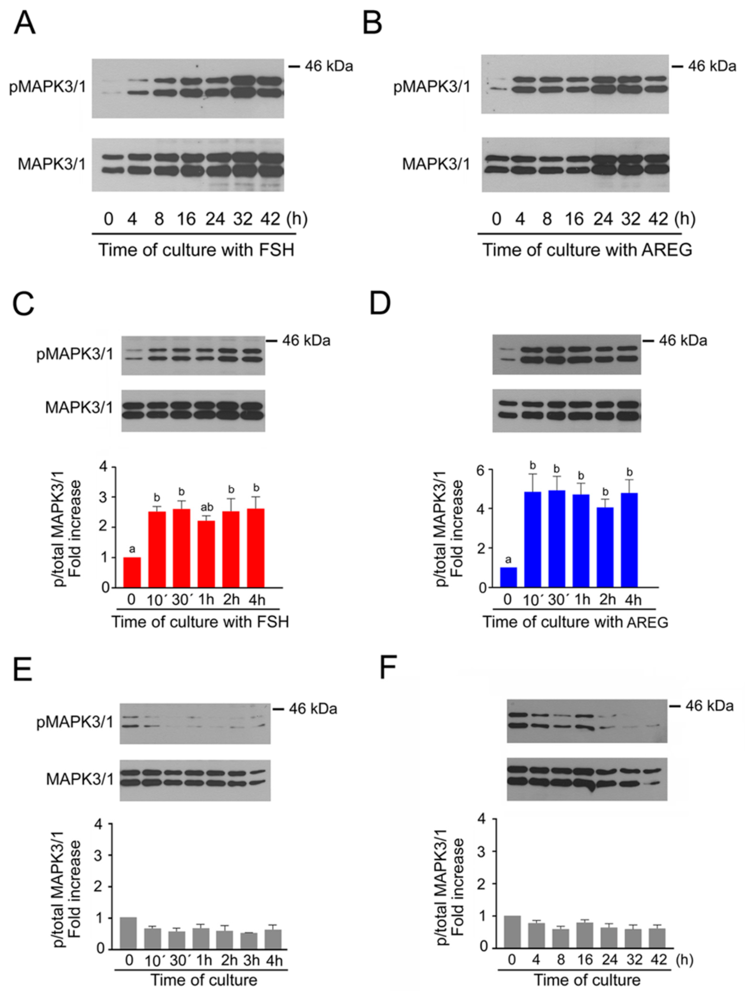 Ijms 20 01179 g001 550