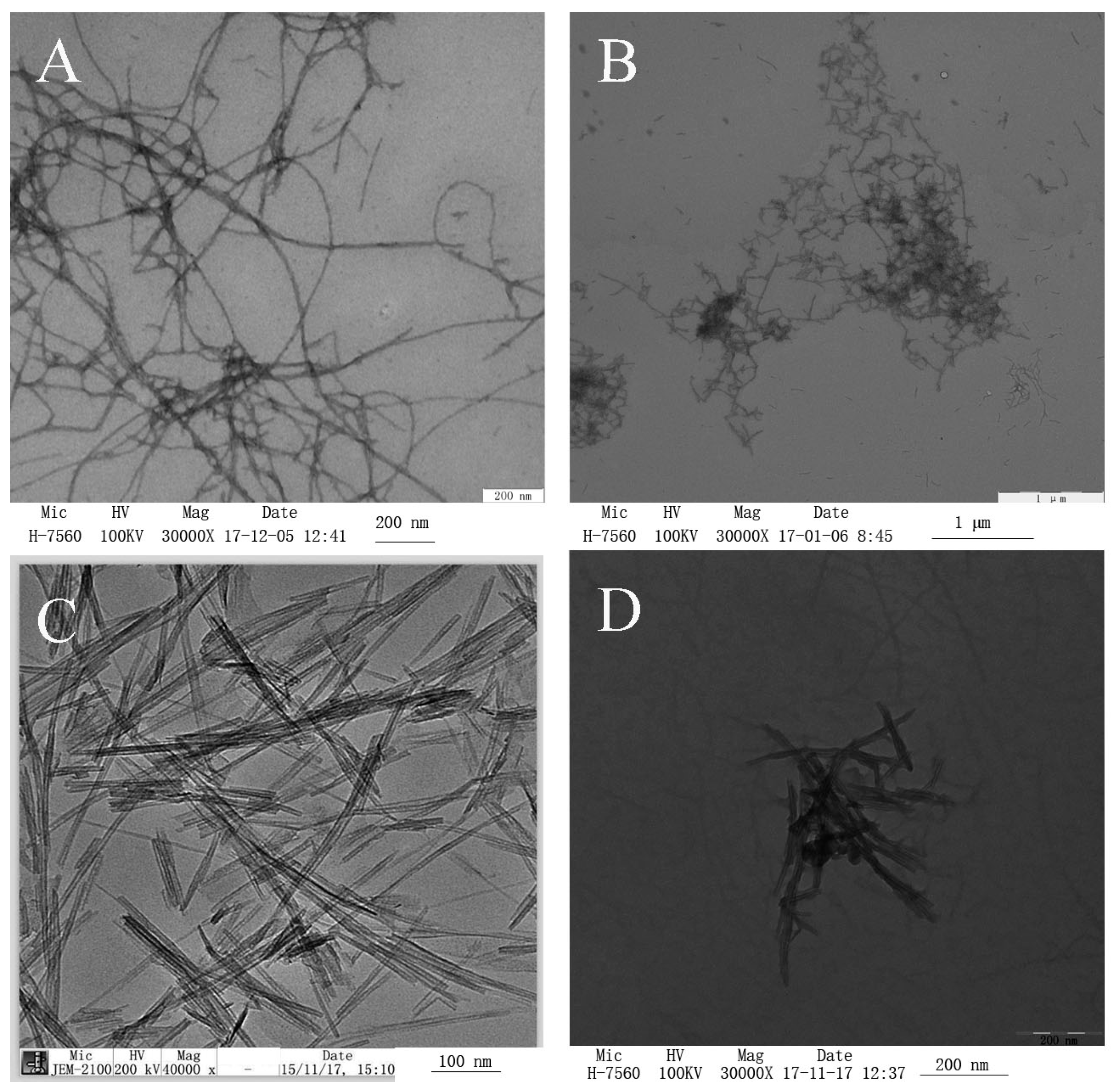 Ijms 20 01184 g001 Ijms 20 01184 g001