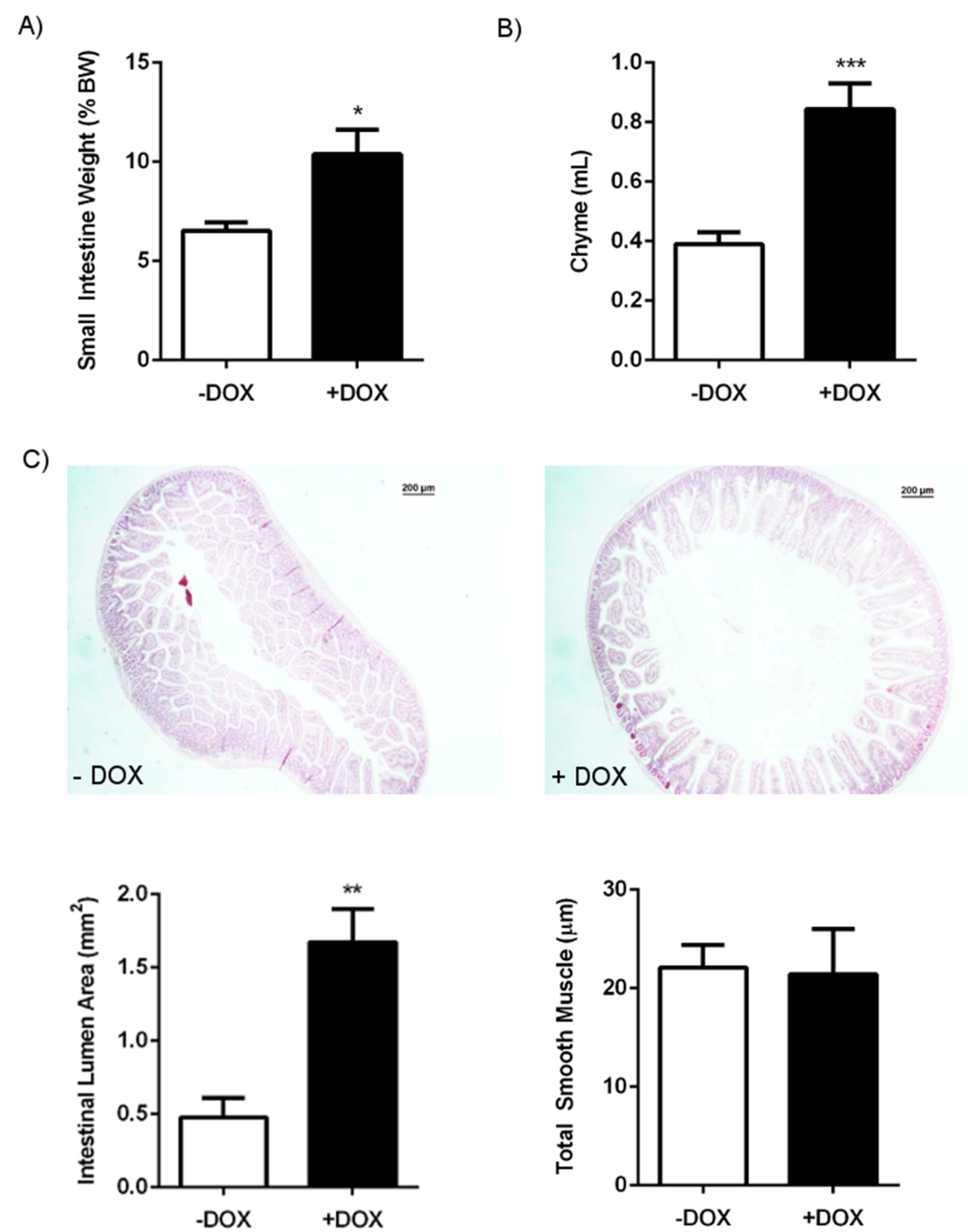 Ijms 20 01193 g002