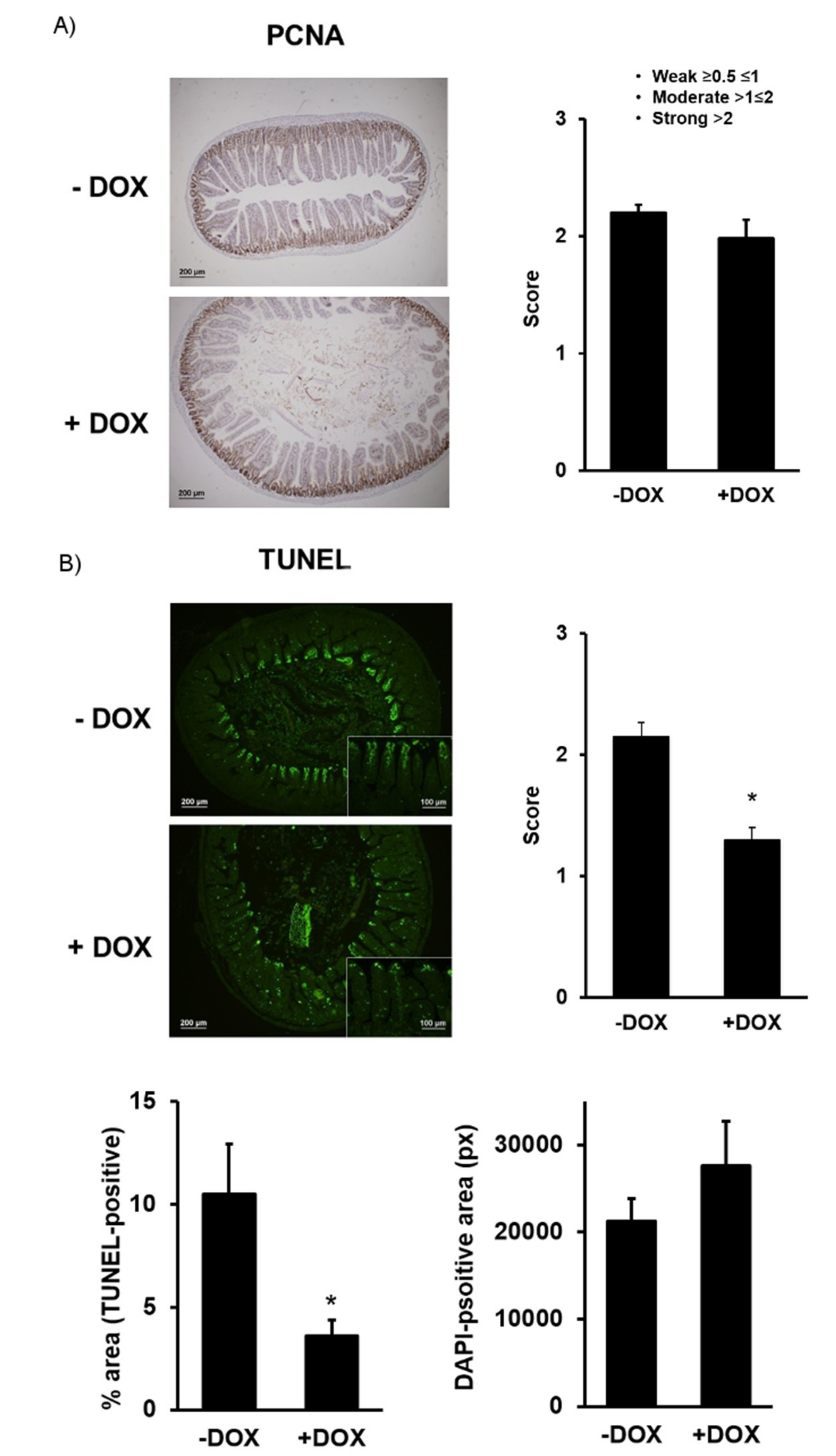 Ijms 20 01193 g004