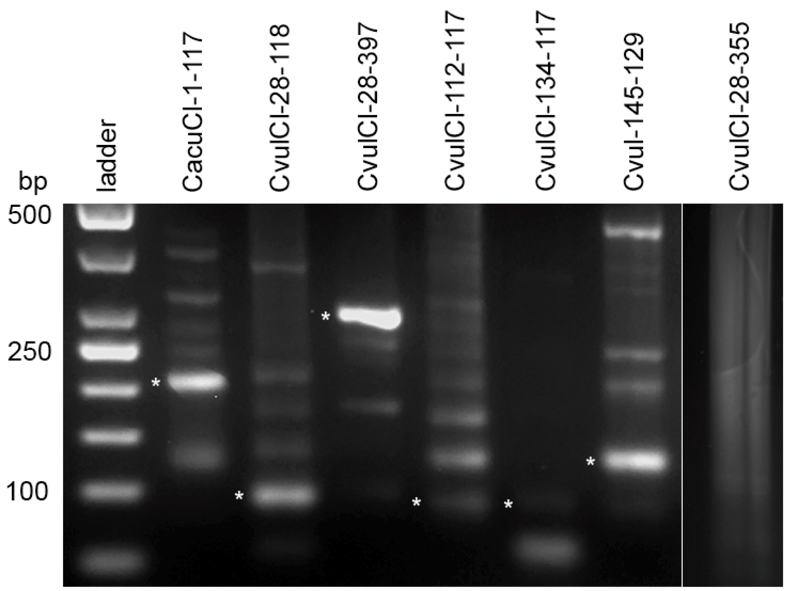 Ijms 20 01201 g004
