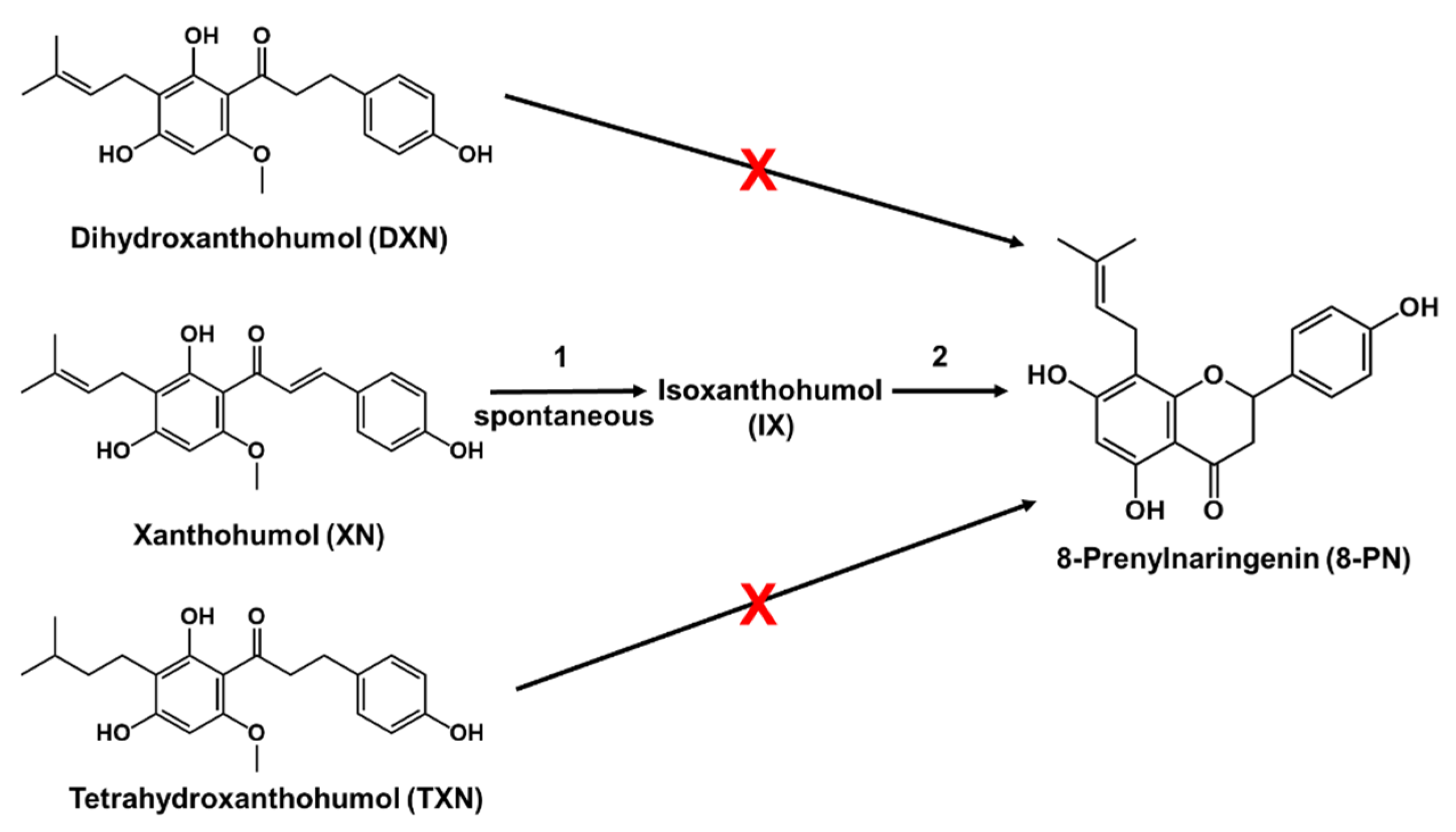Ijms 20 01203 g001 Ijms 20 01203 g001