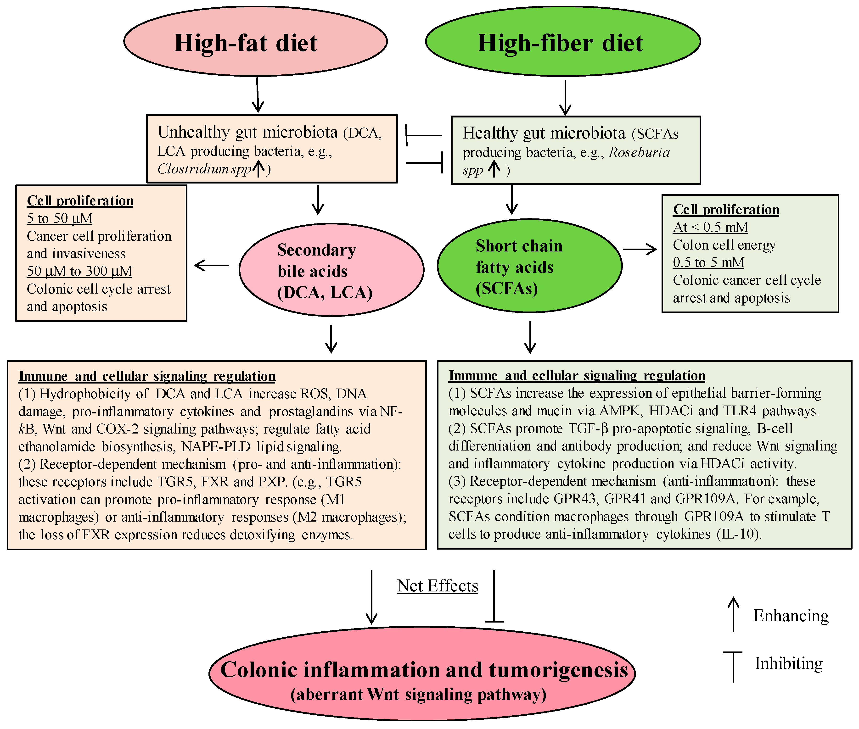 Ijms 20 01214 g002 Ijms 20 01214 g002