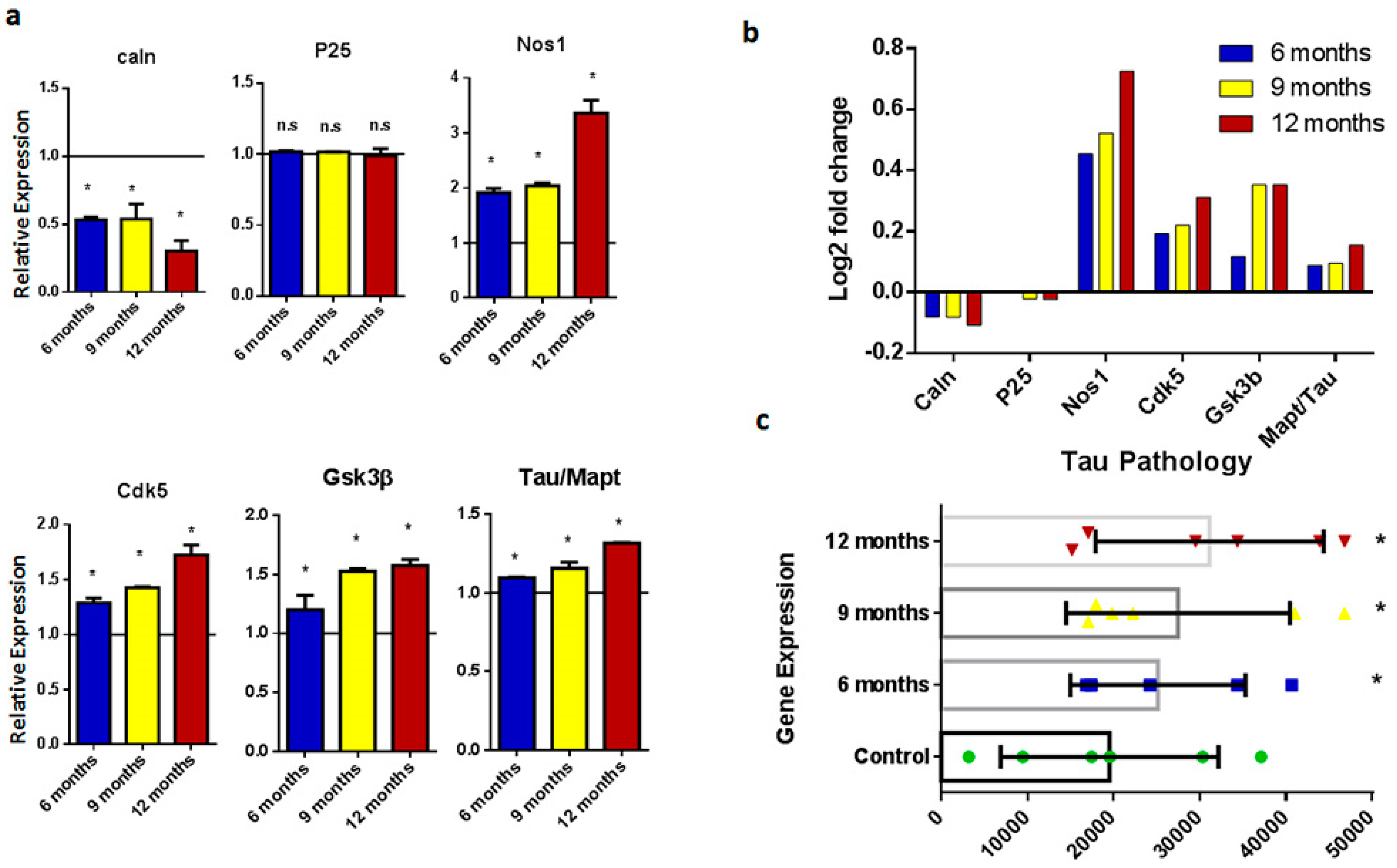 Ijms 20 01219 g002 Ijms 20 01219 g002