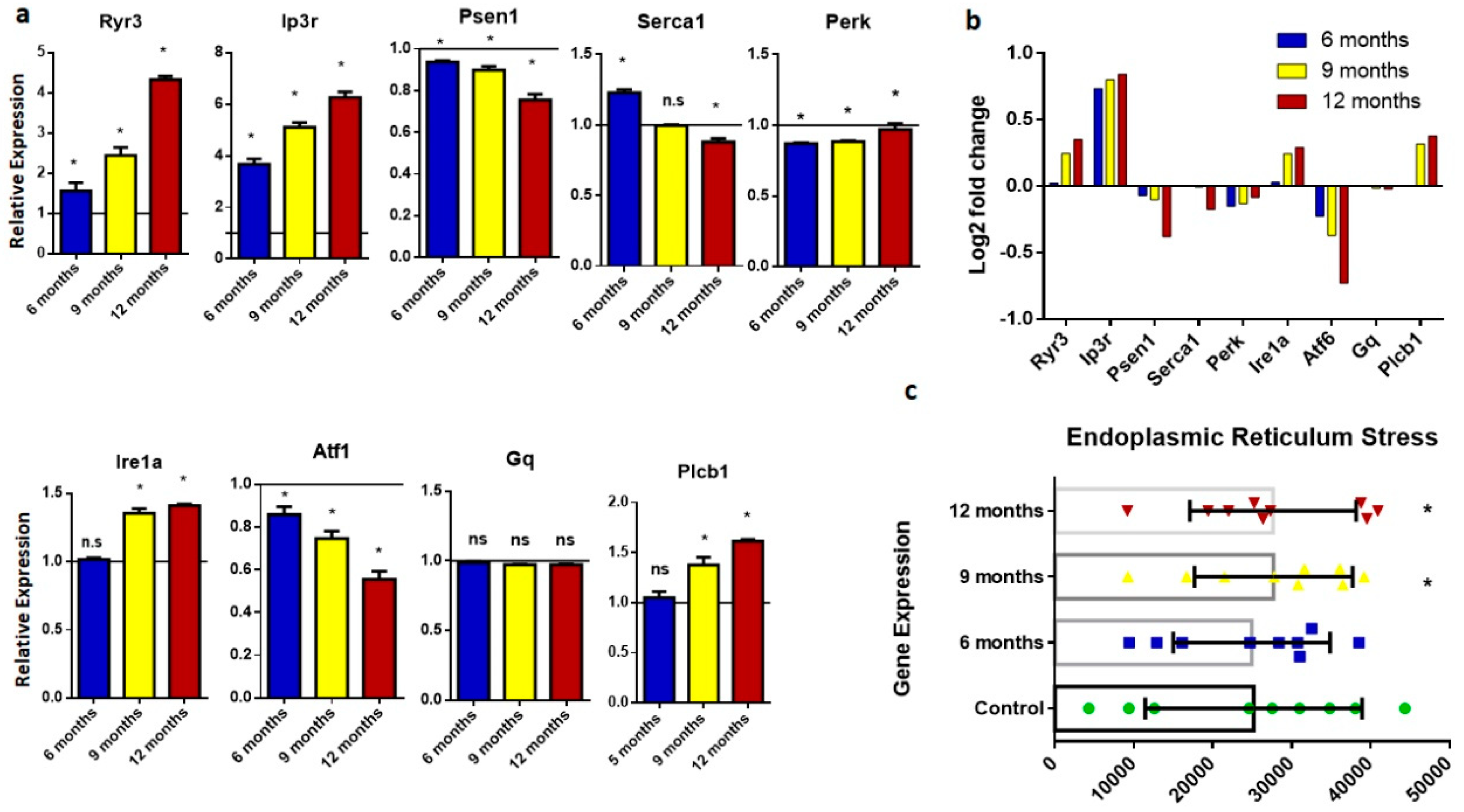 Ijms 20 01219 g003 Ijms 20 01219 g003