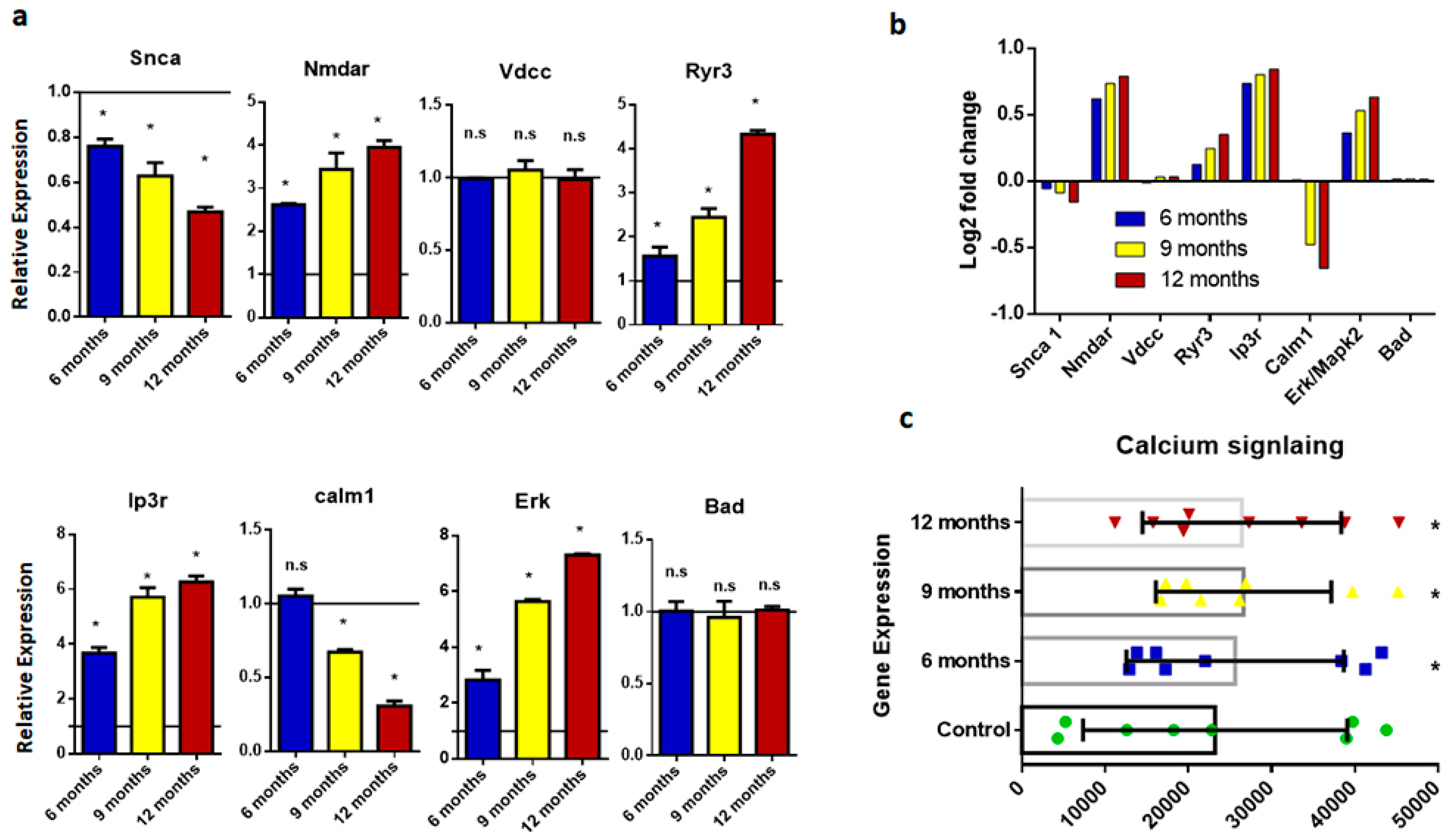 Ijms 20 01219 g004 Ijms 20 01219 g004