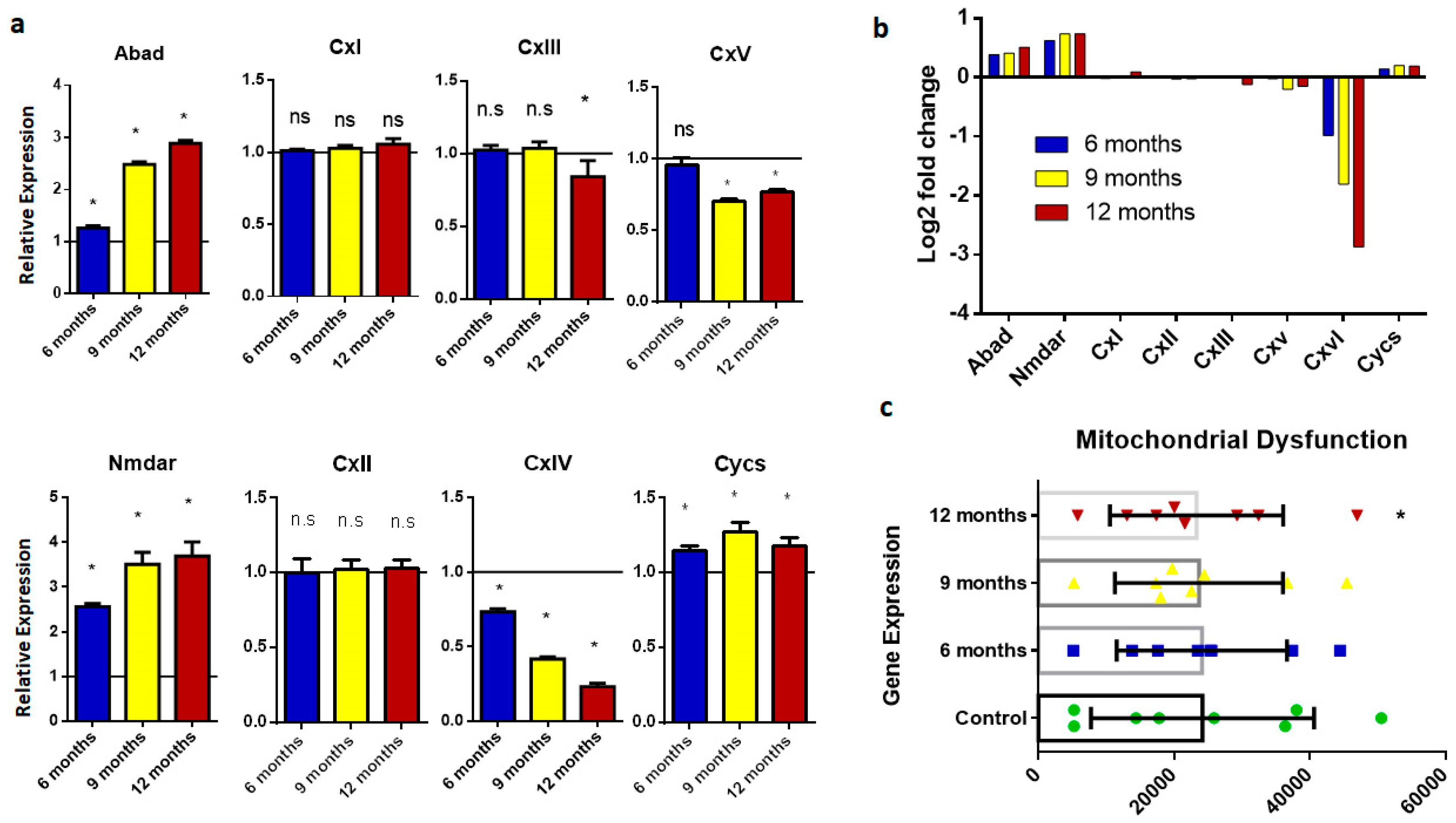 Ijms 20 01219 g005 Ijms 20 01219 g005