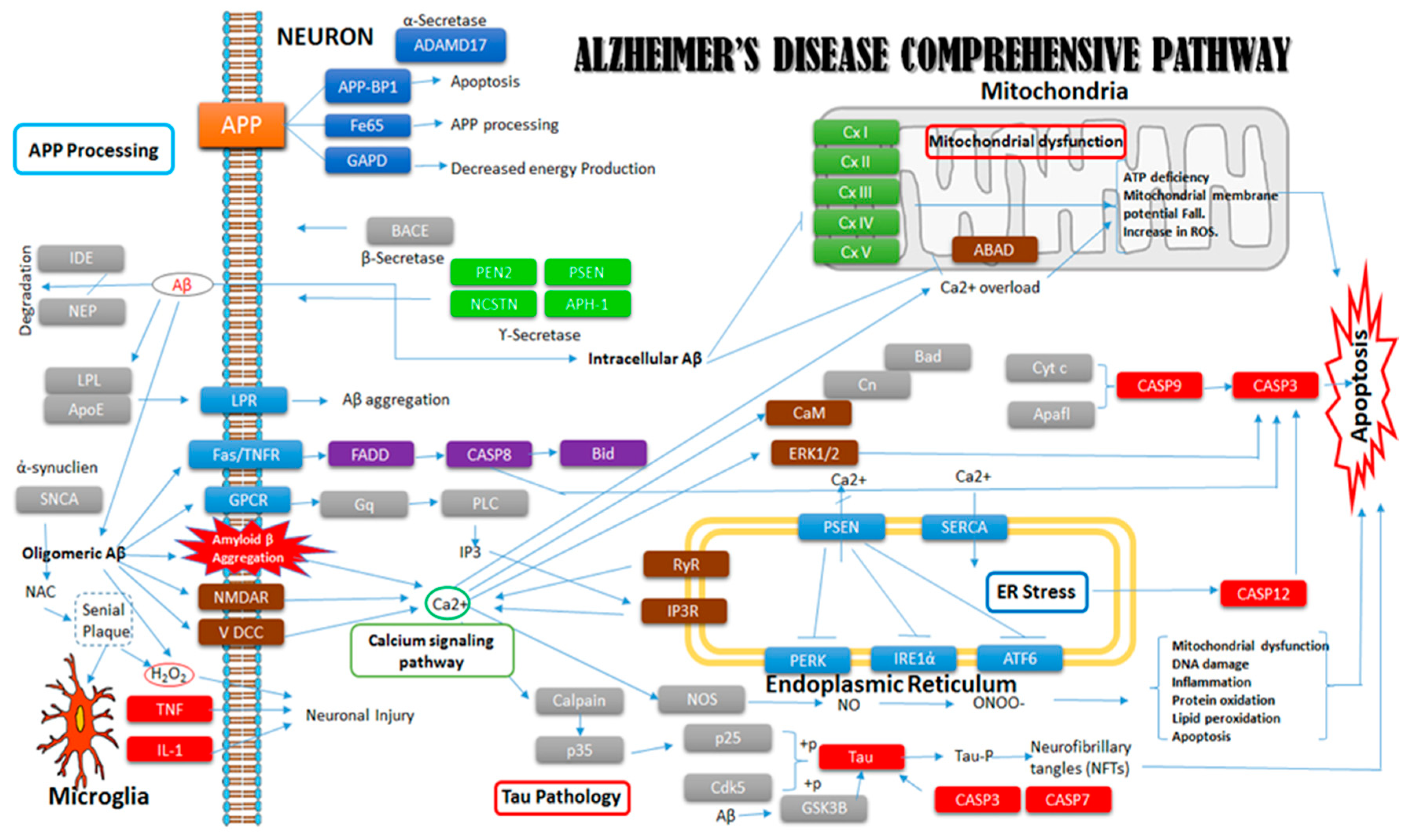 Ijms 20 01219 g008 Ijms 20 01219 g008