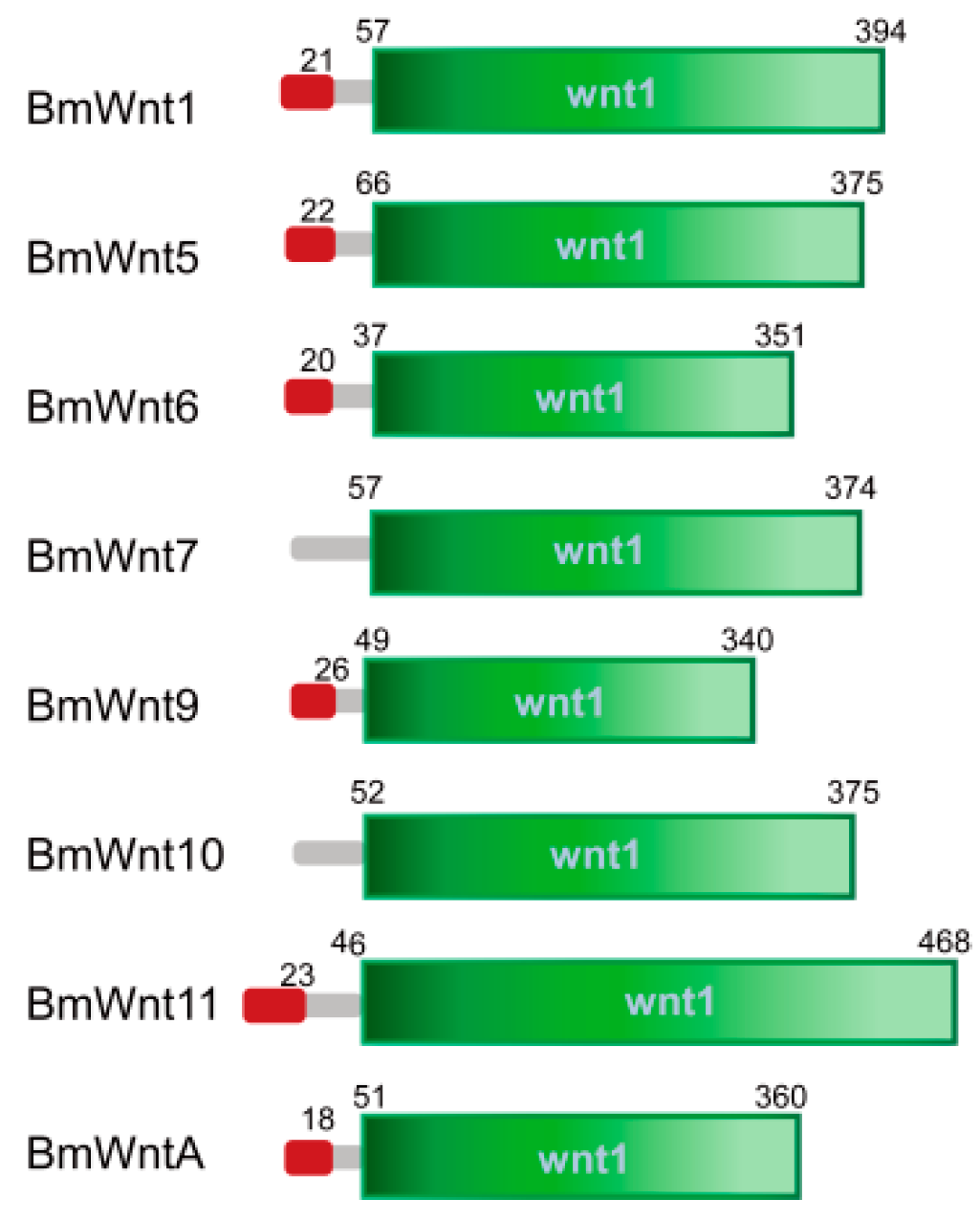 Ijms 20 01221 g001 Ijms 20 01221 g001