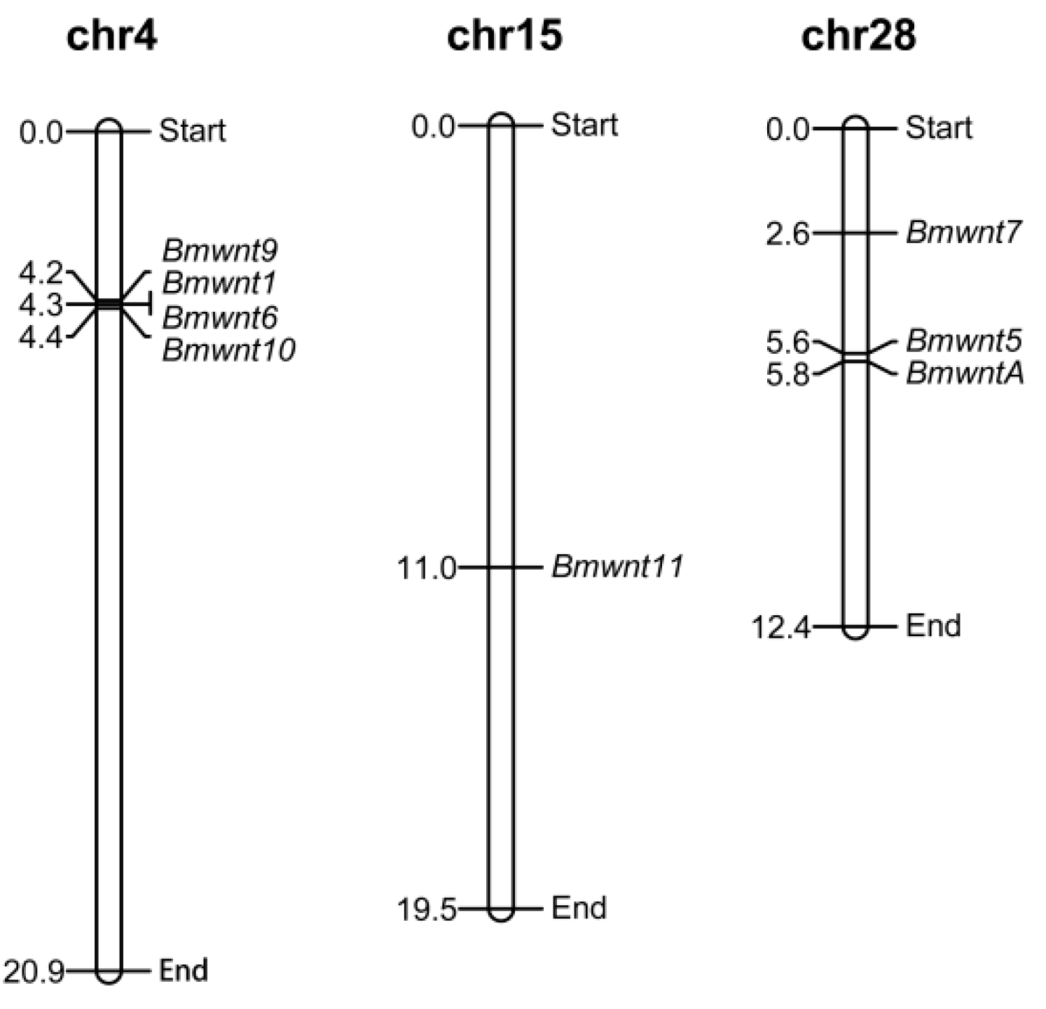 Ijms 20 01221 g004 Ijms 20 01221 g004