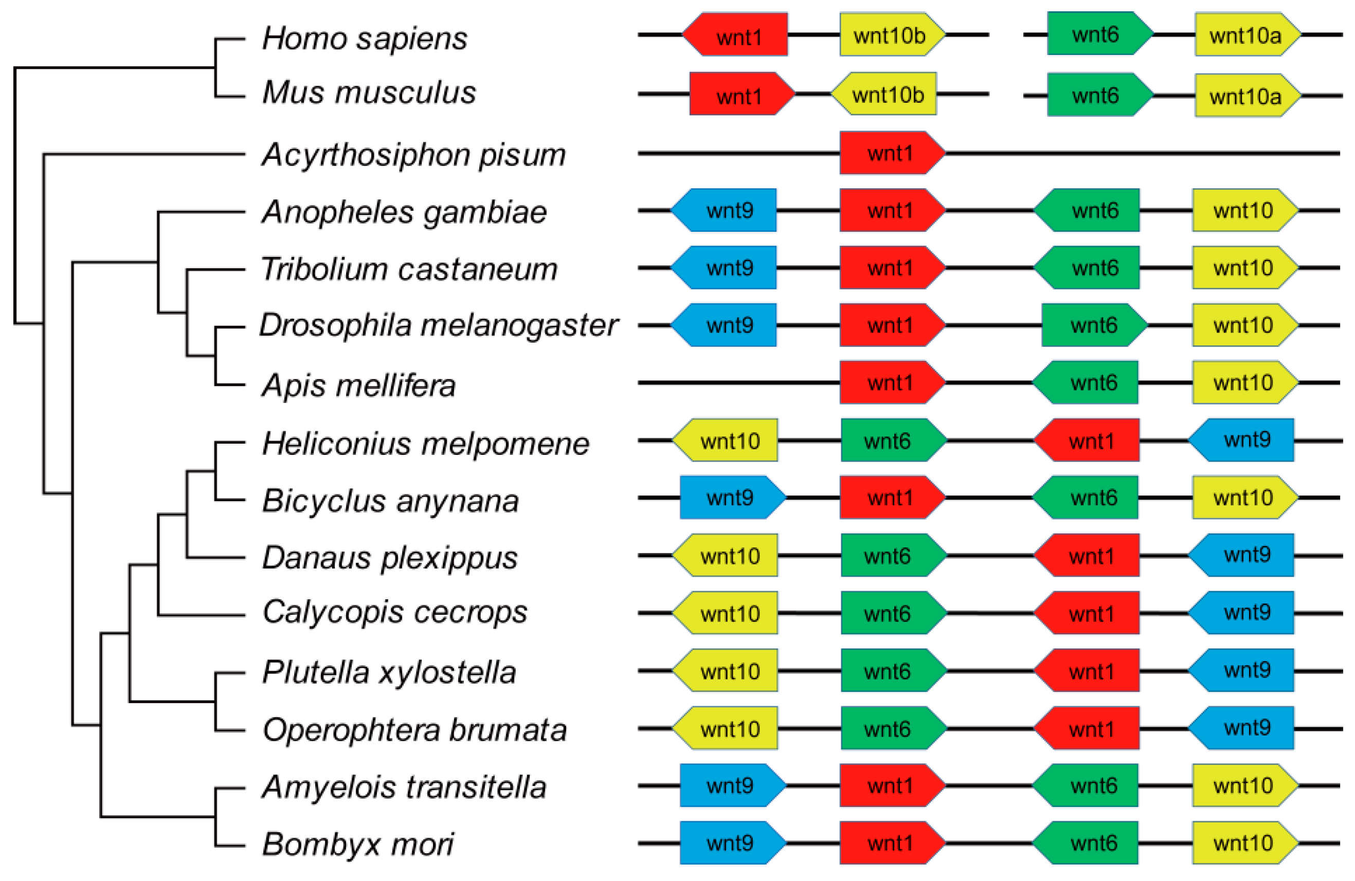 Ijms 20 01221 g005 Ijms 20 01221 g005