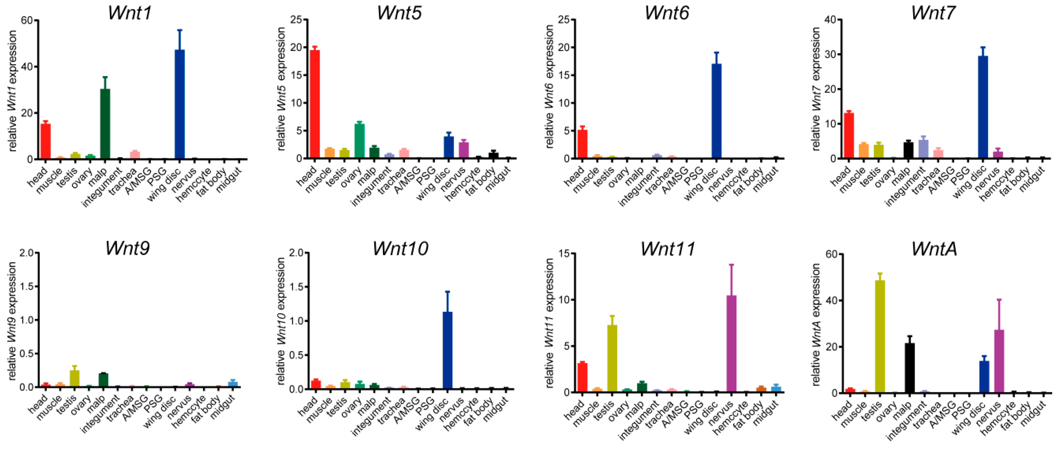 Ijms 20 01221 g007 Ijms 20 01221 g007