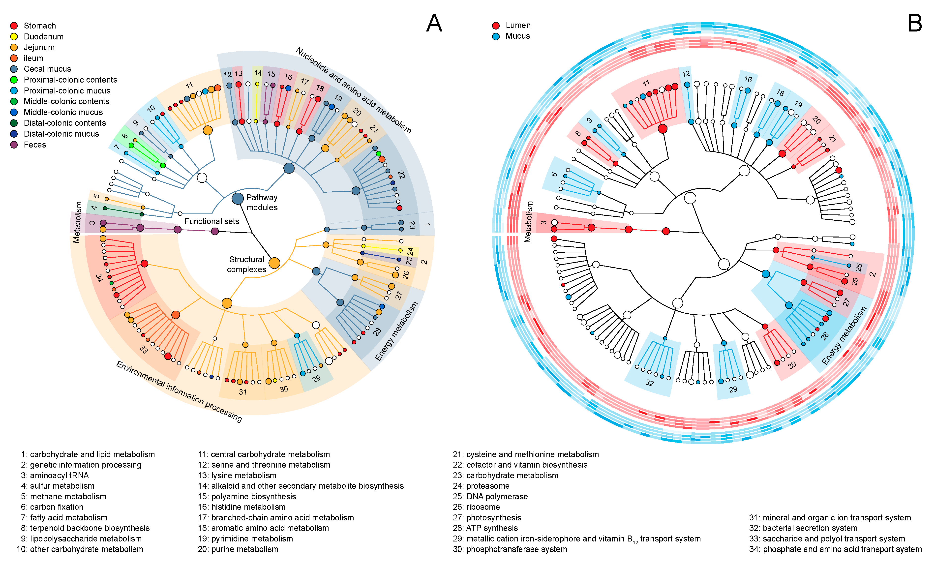 Ijms 20 01232 g002 Ijms 20 01232 g002