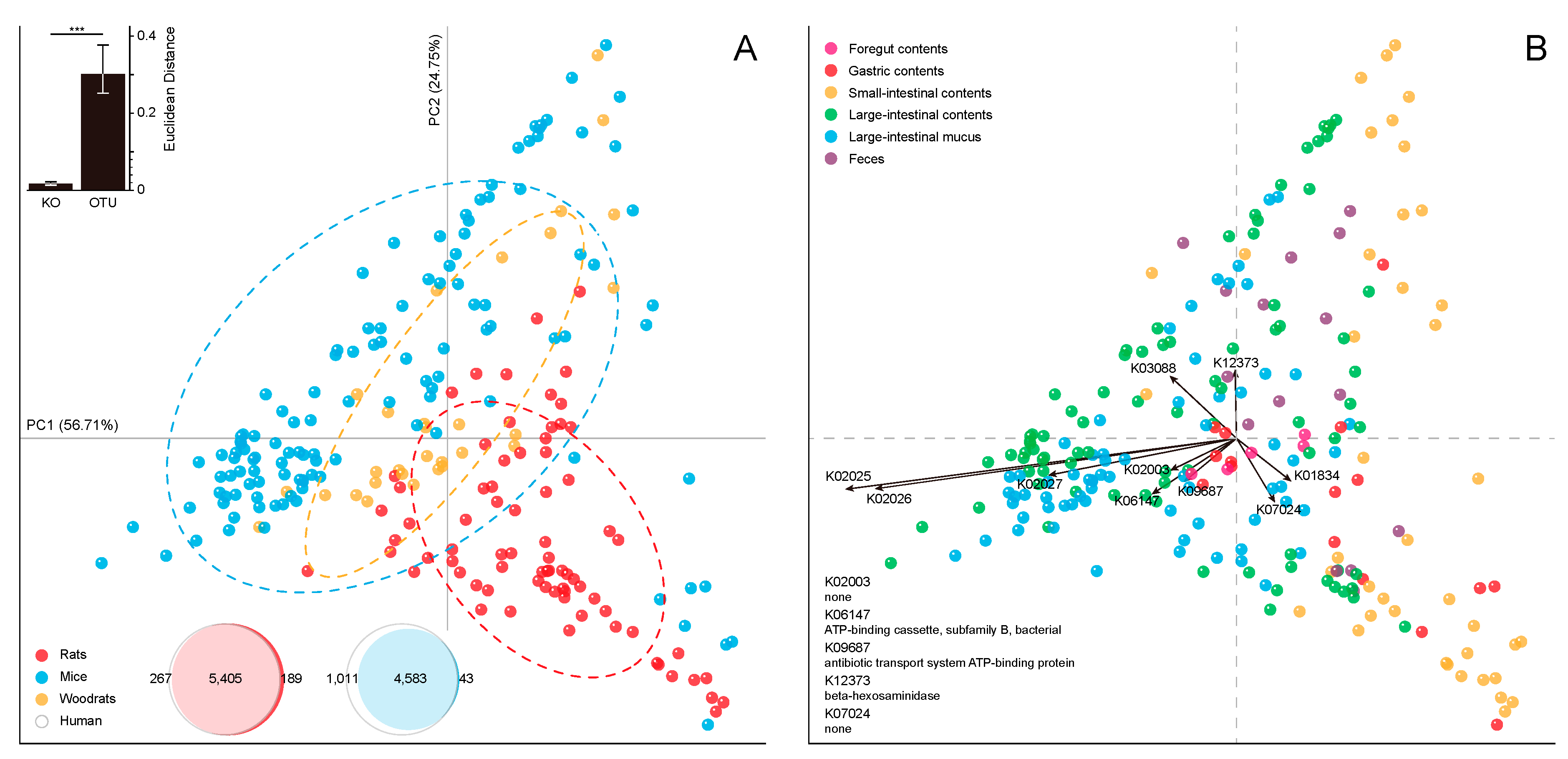 Ijms 20 01232 g003 Ijms 20 01232 g003