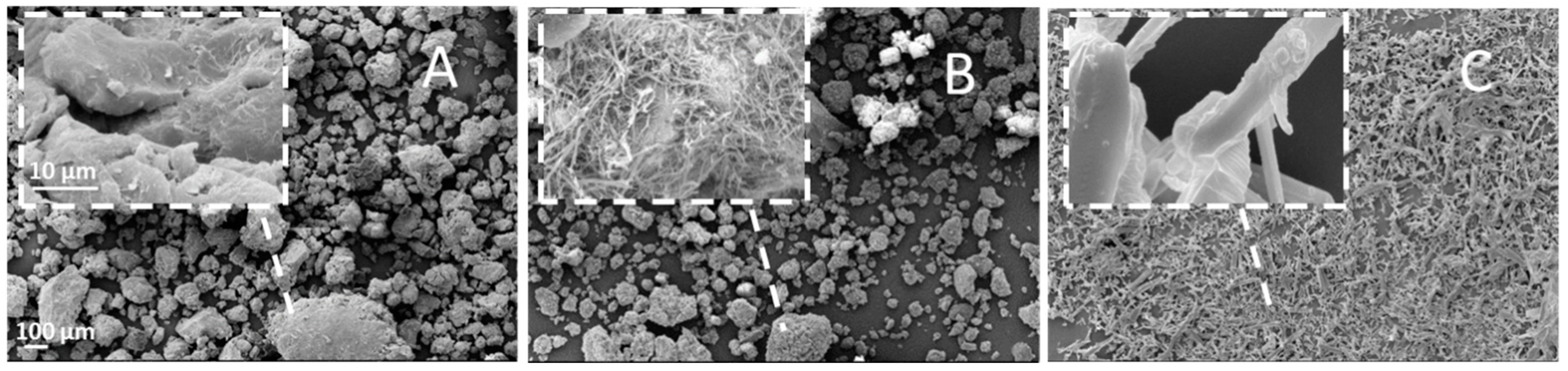 Ijms 20 01233 g001 Ijms 20 01233 g001