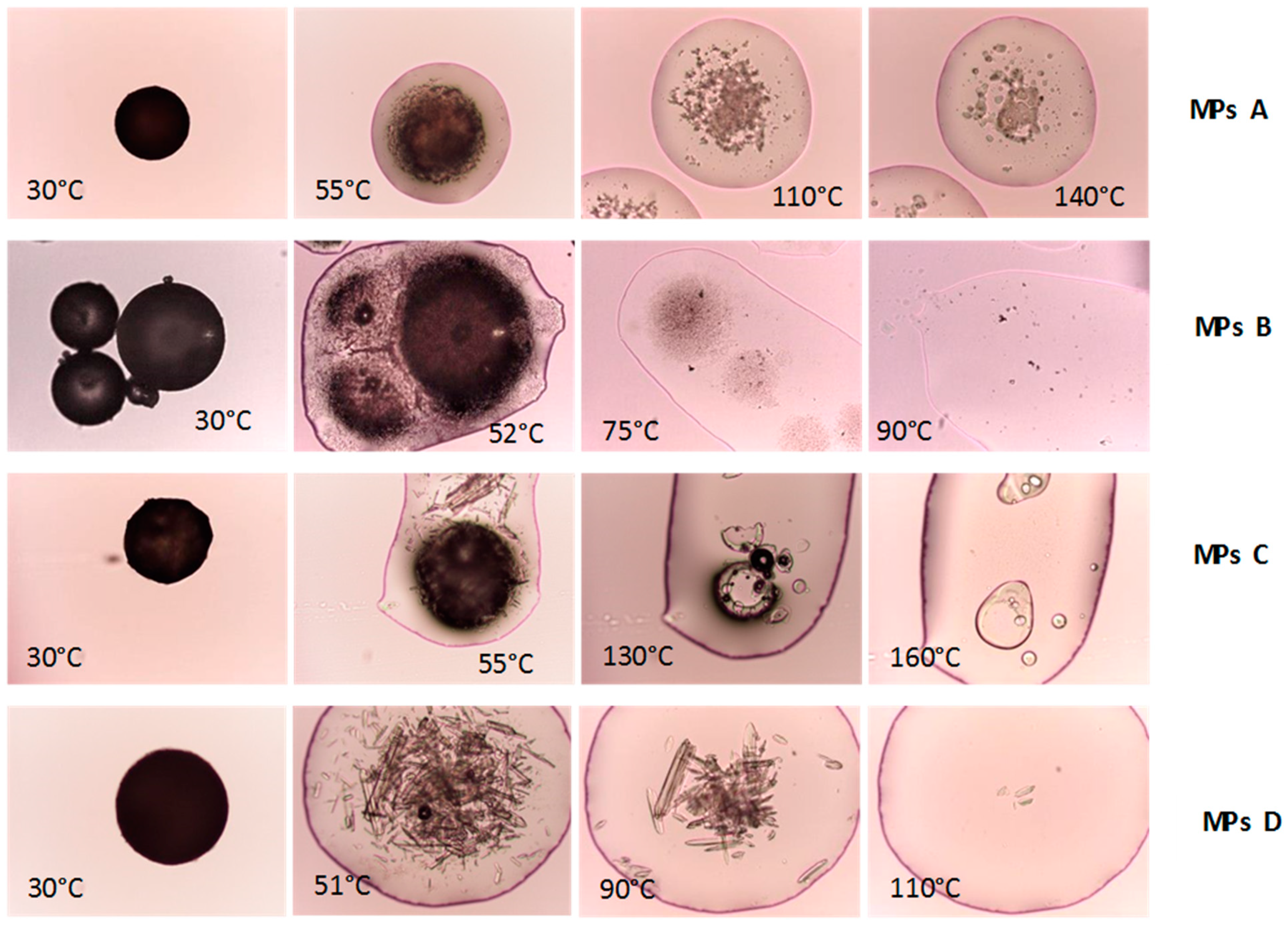 Ijms 20 01233 g009 Ijms 20 01233 g009