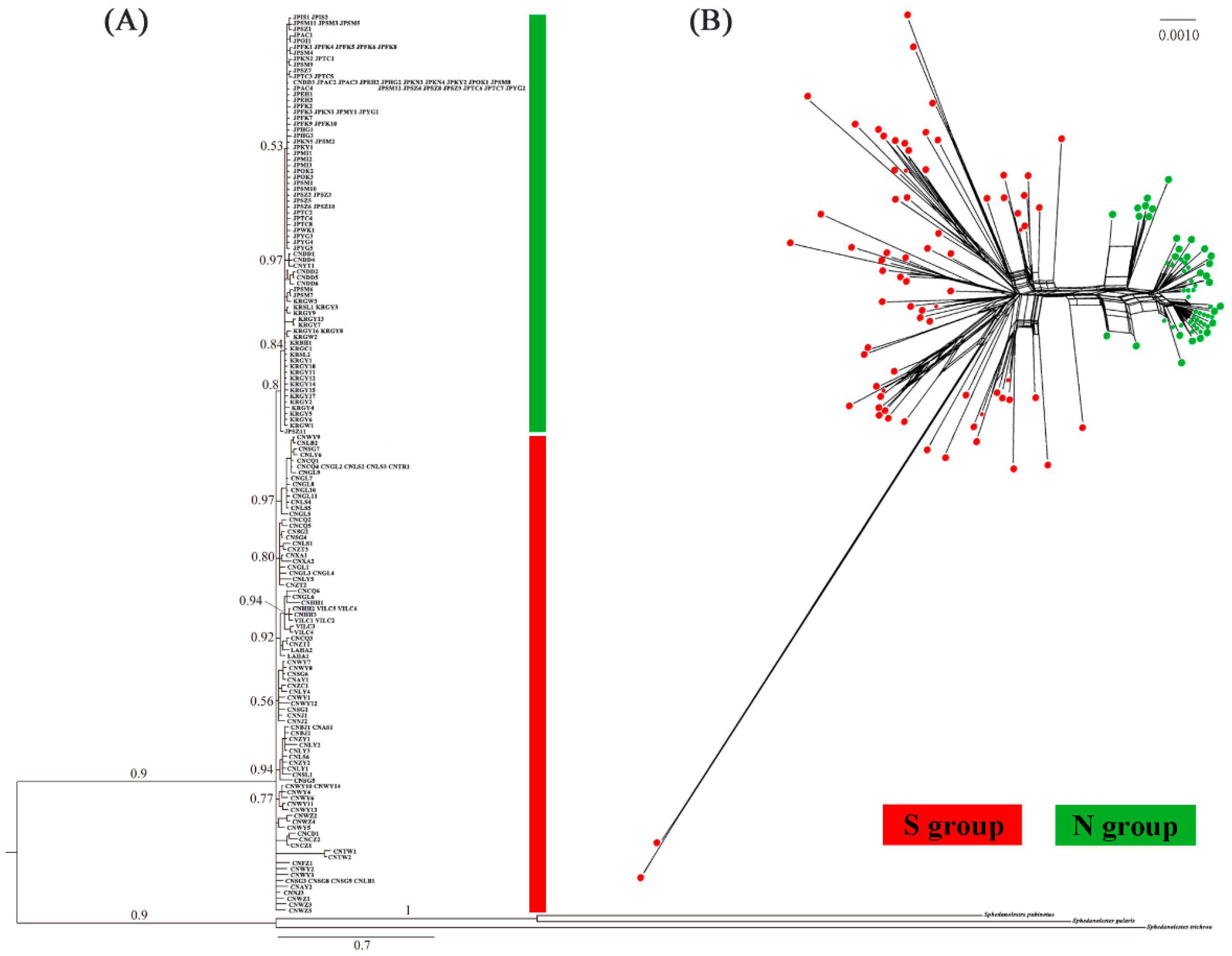 Ijms 20 01234 g002 Ijms 20 01234 g002
