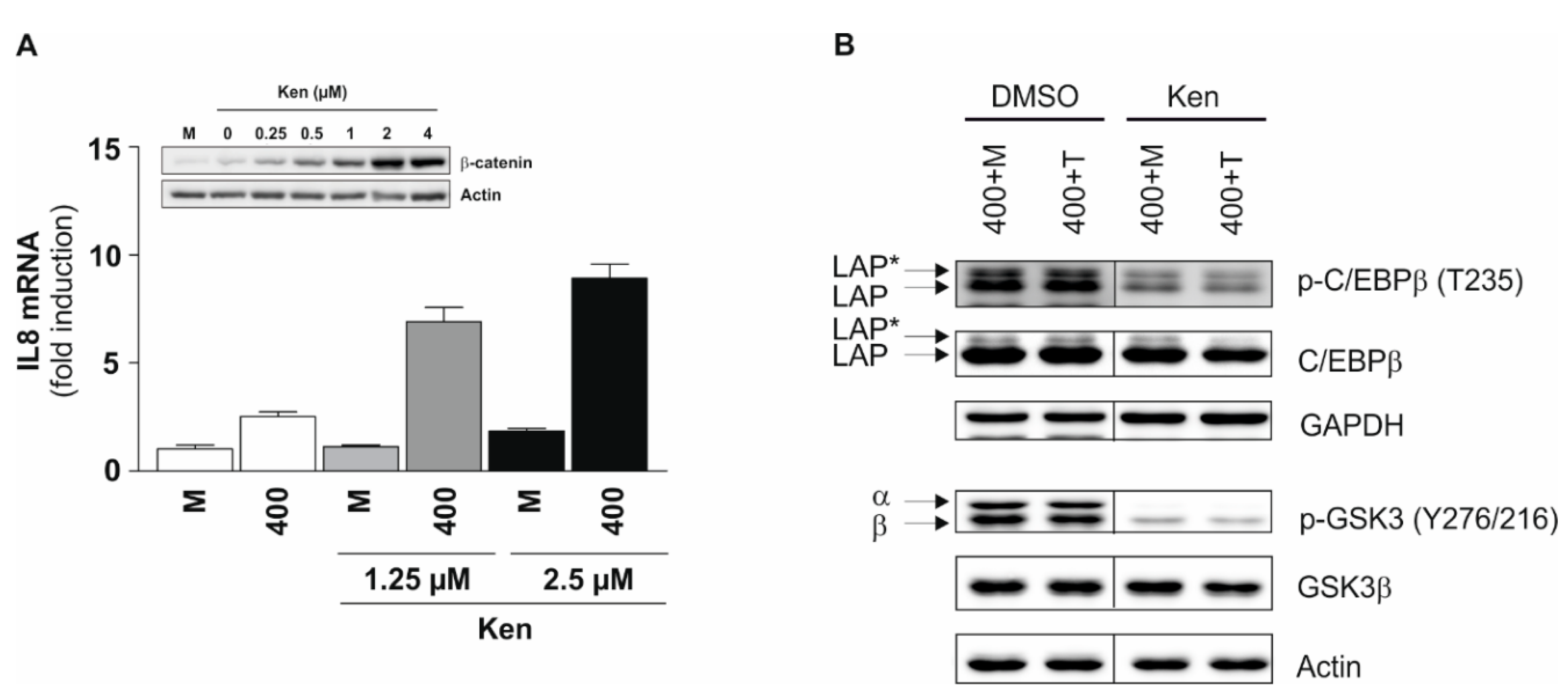 Ijms 20 01241 g005