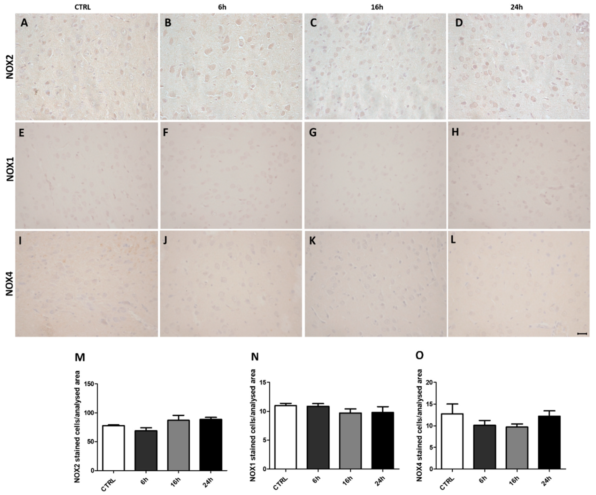 Ijms 20 01242 g001 Ijms 20 01242 g001