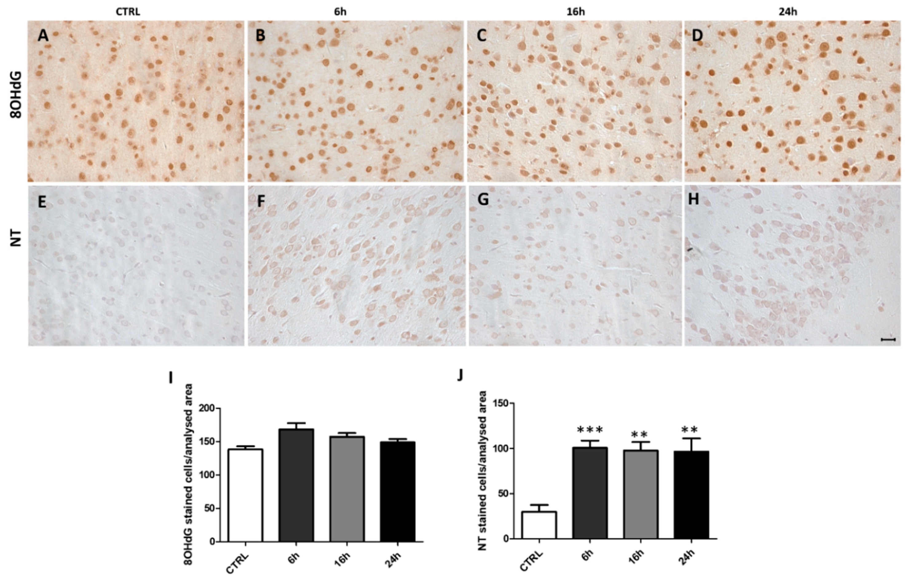 Ijms 20 01242 g003 Ijms 20 01242 g003