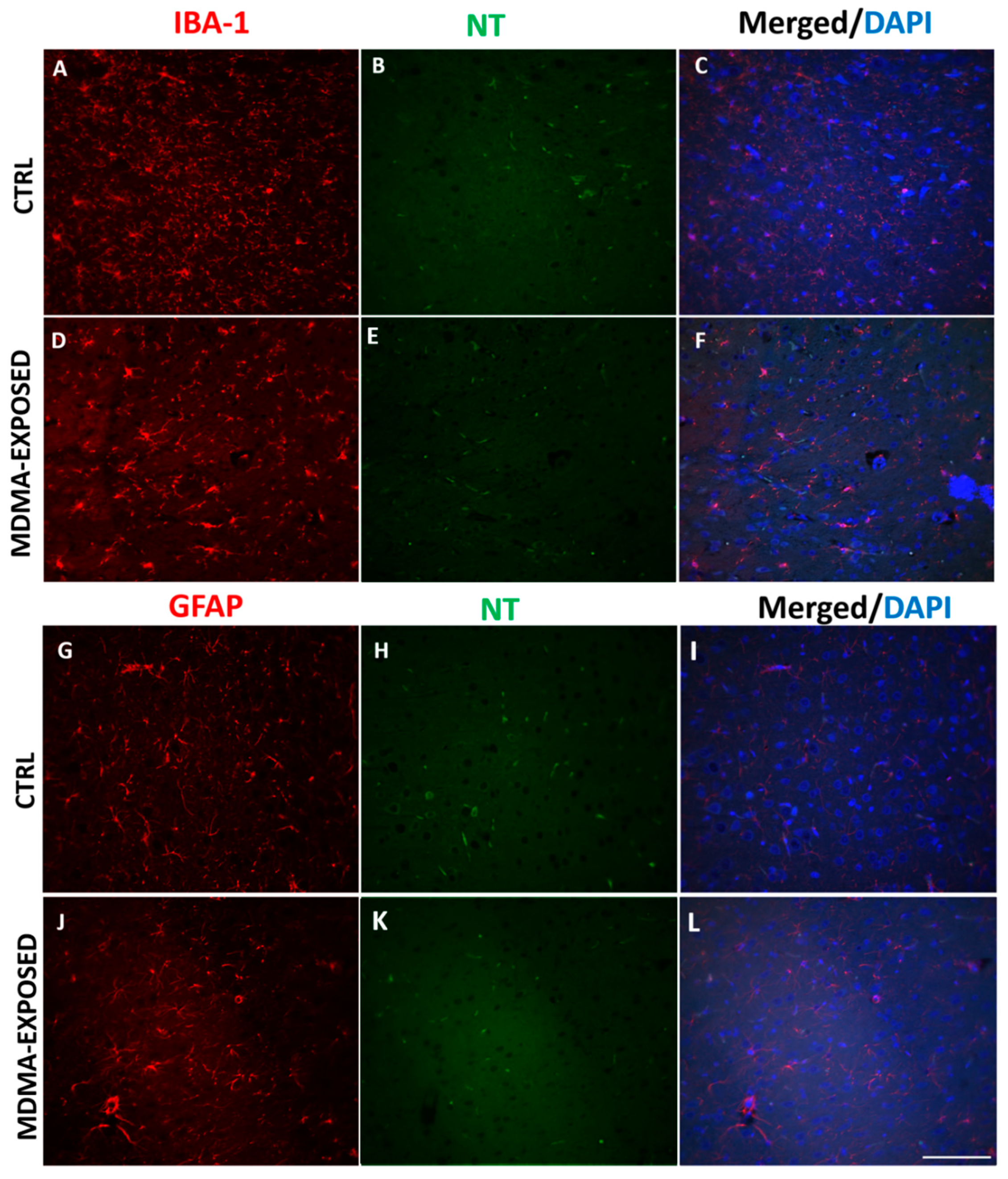 Ijms 20 01242 g006 Ijms 20 01242 g006