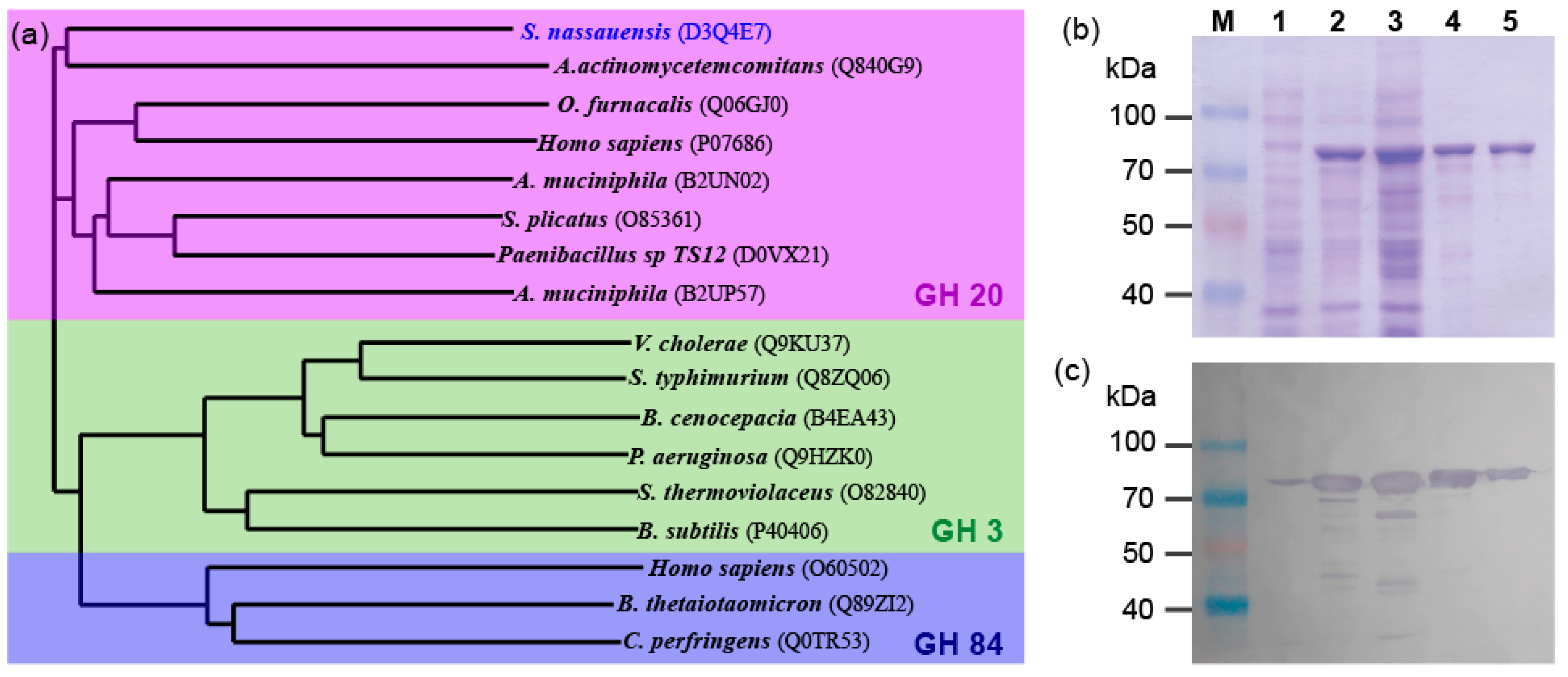 Ijms 20 01243 g001 Ijms 20 01243 g001