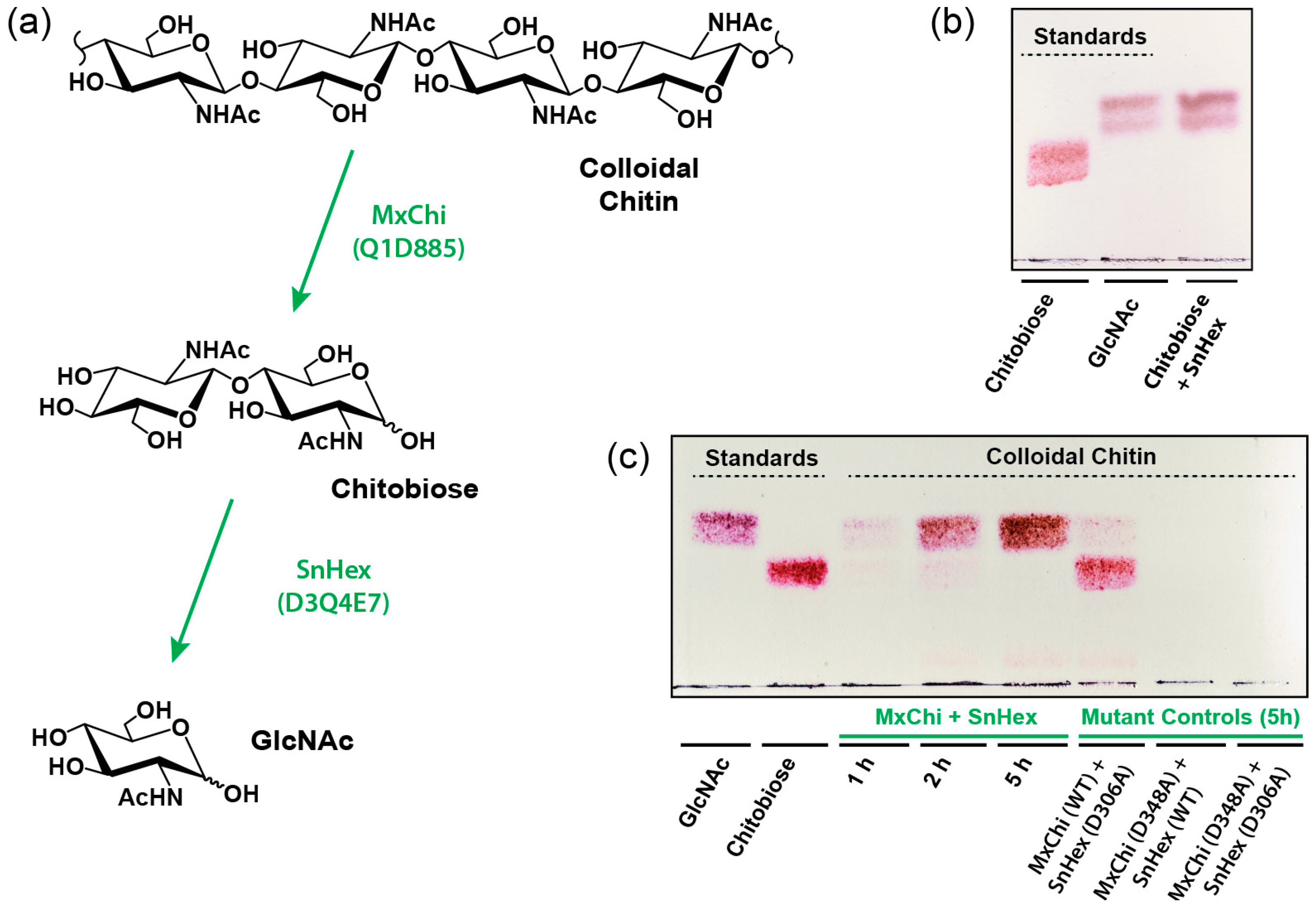 Ijms 20 01243 g004 Ijms 20 01243 g004