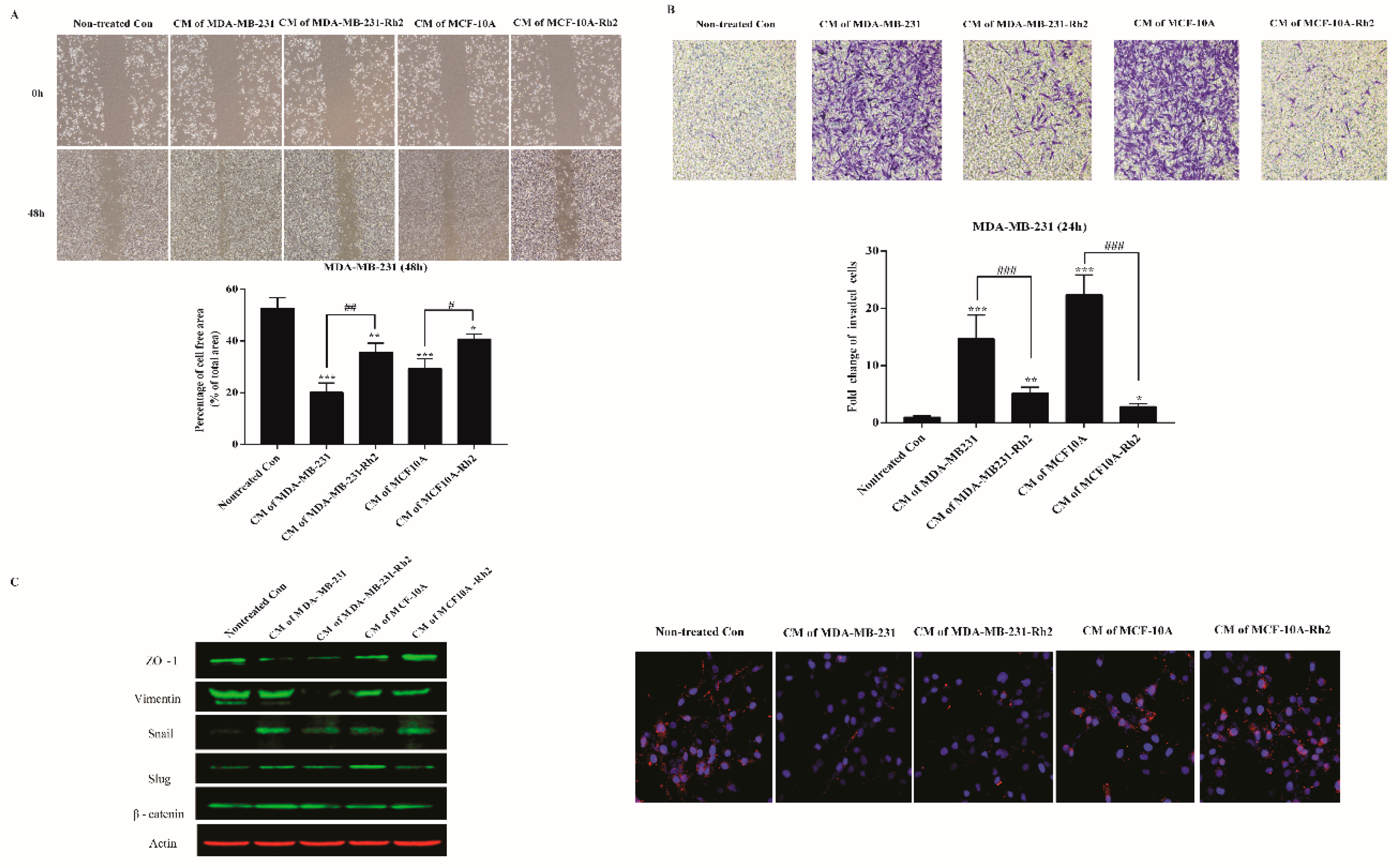 Ijms 20 01244 g003 Ijms 20 01244 g003