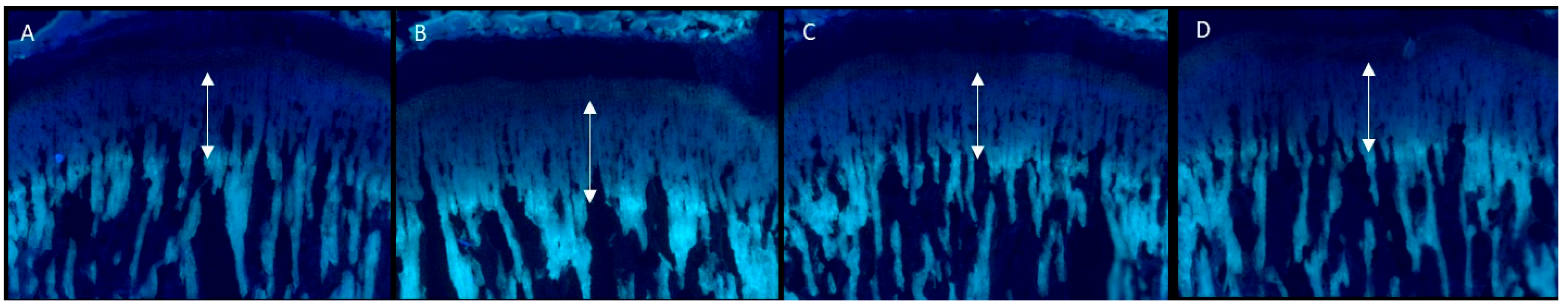 Ijms 20 01253 g002 Ijms 20 01253 g002