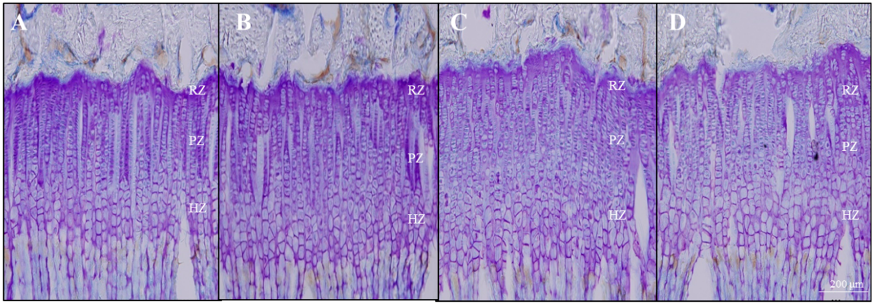 Ijms 20 01253 g004 Ijms 20 01253 g004