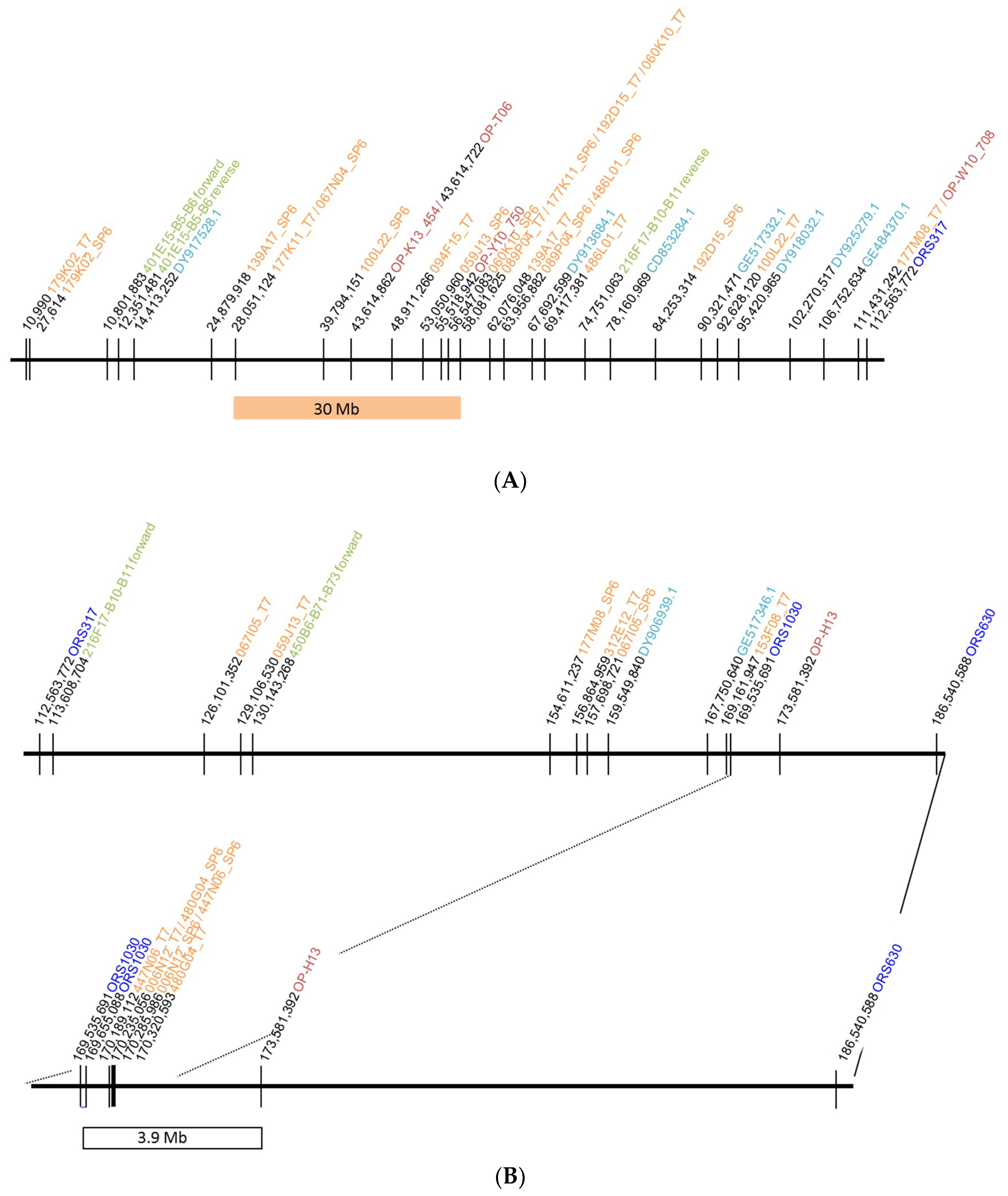 Ijms 20 01260 g001 Ijms 20 01260 g001