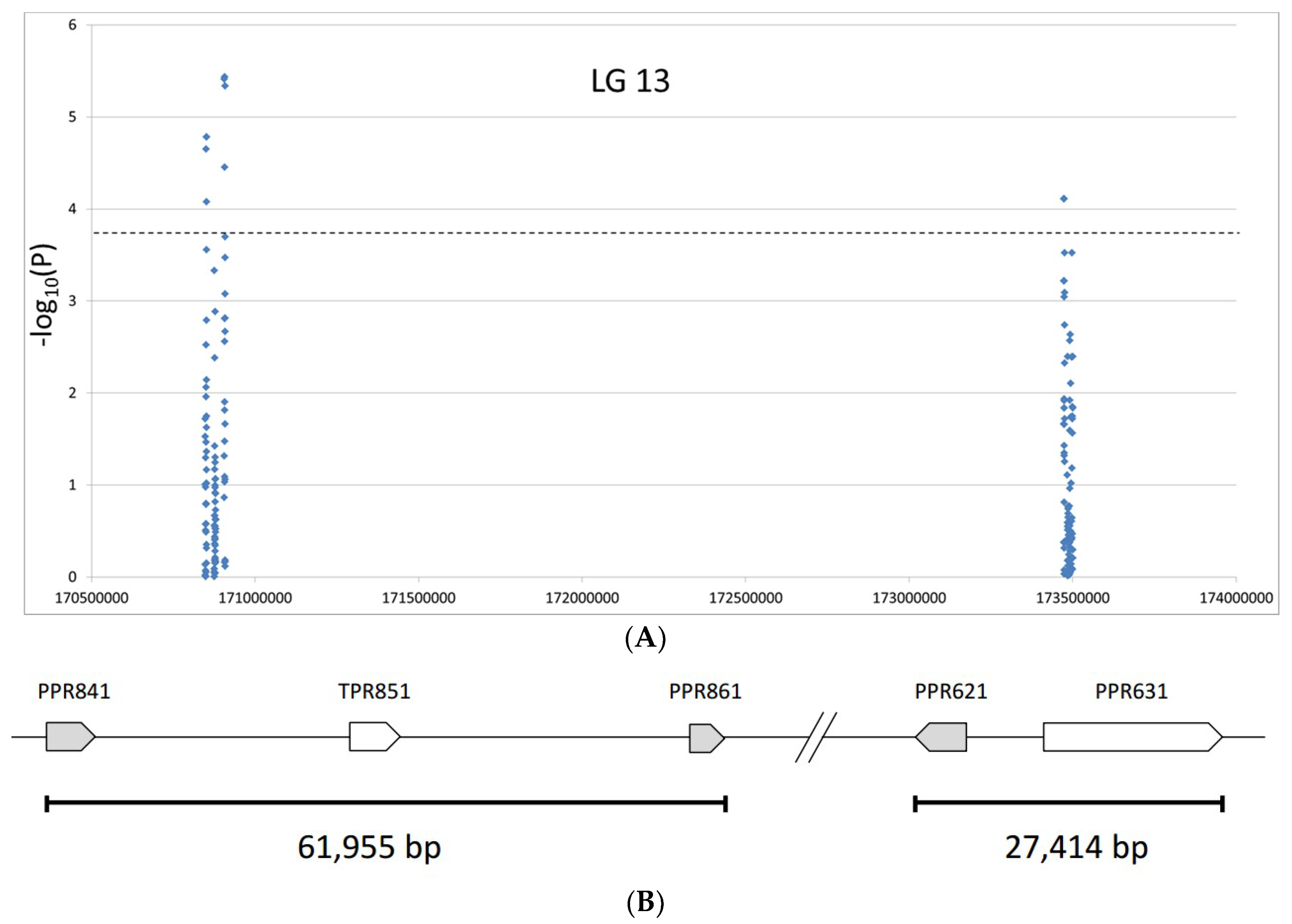 Ijms 20 01260 g004 Ijms 20 01260 g004