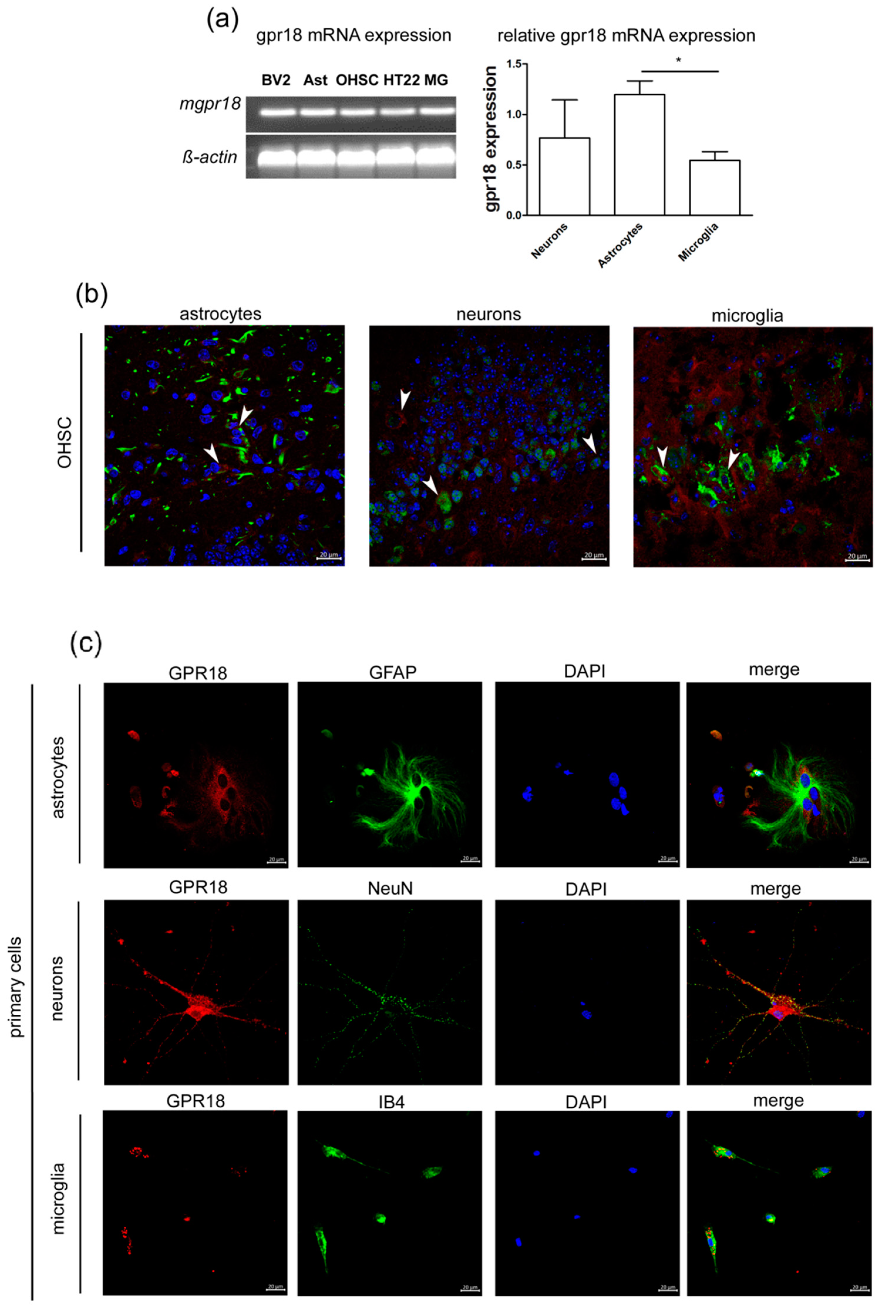 Ijms 20 01266 g001