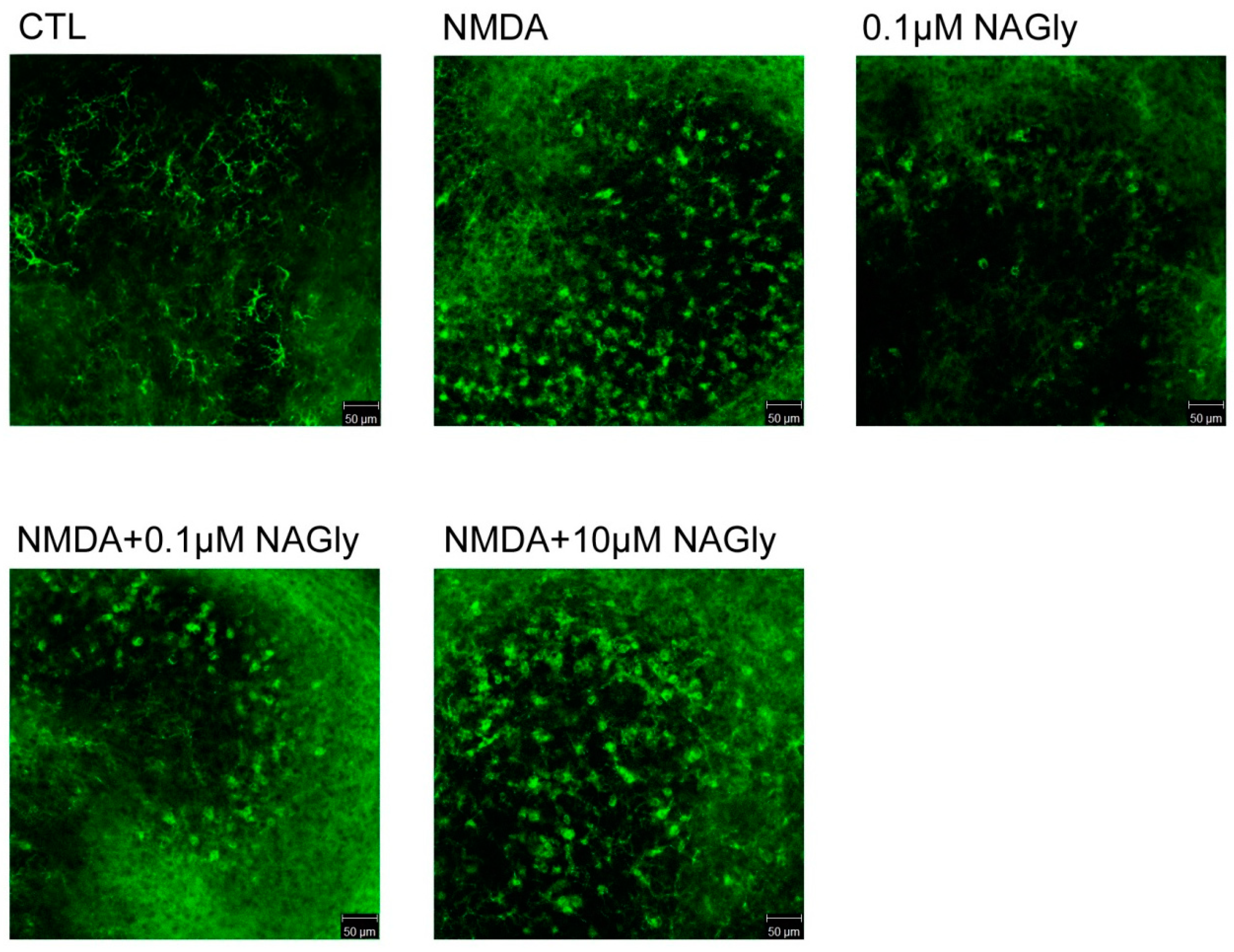 Ijms 20 01266 g0a2