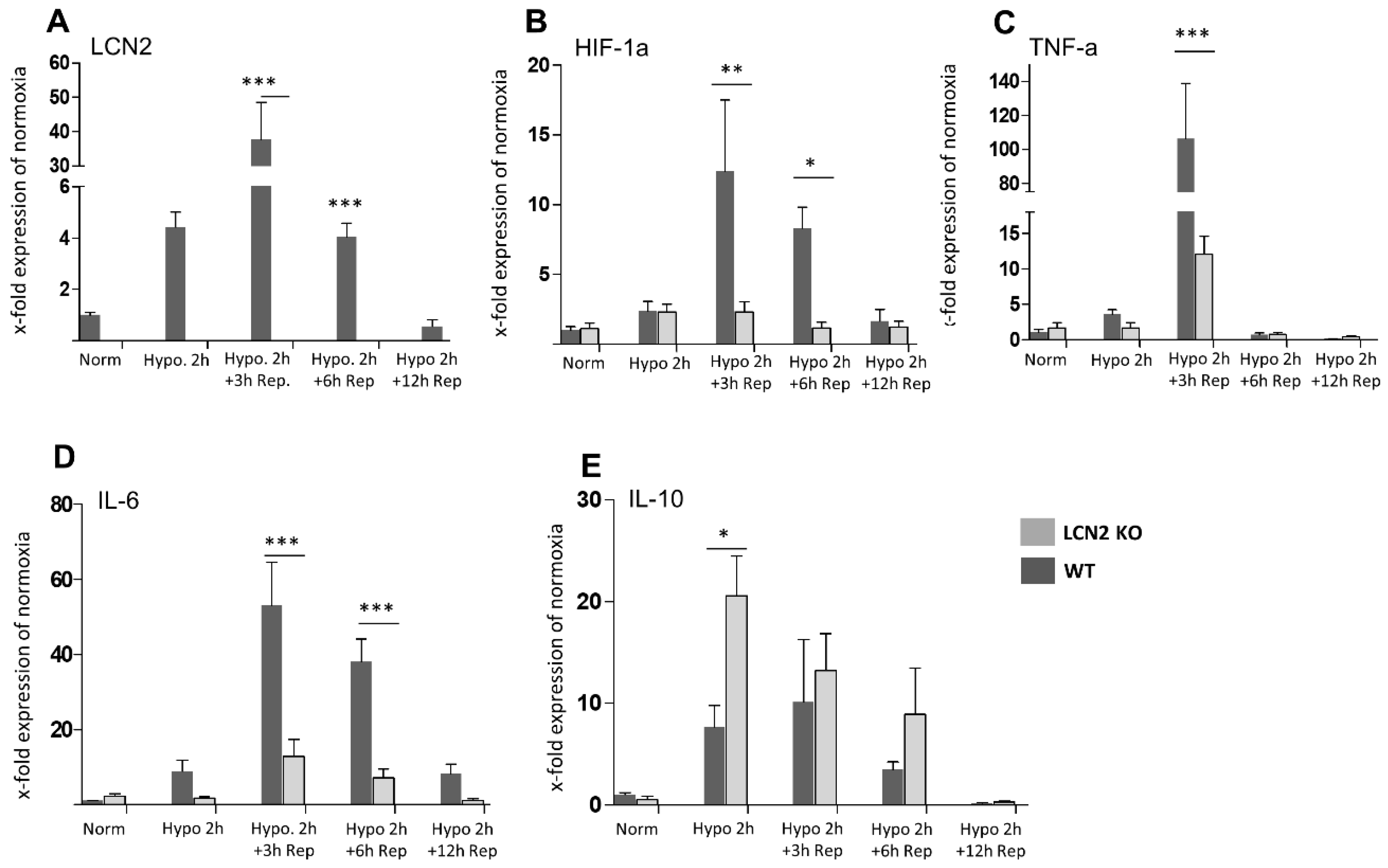 Ijms 20 01271 g004 Ijms 20 01271 g004