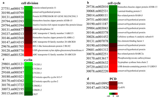 Complement and Fungal Dysbiosis as Prognostic Markers and