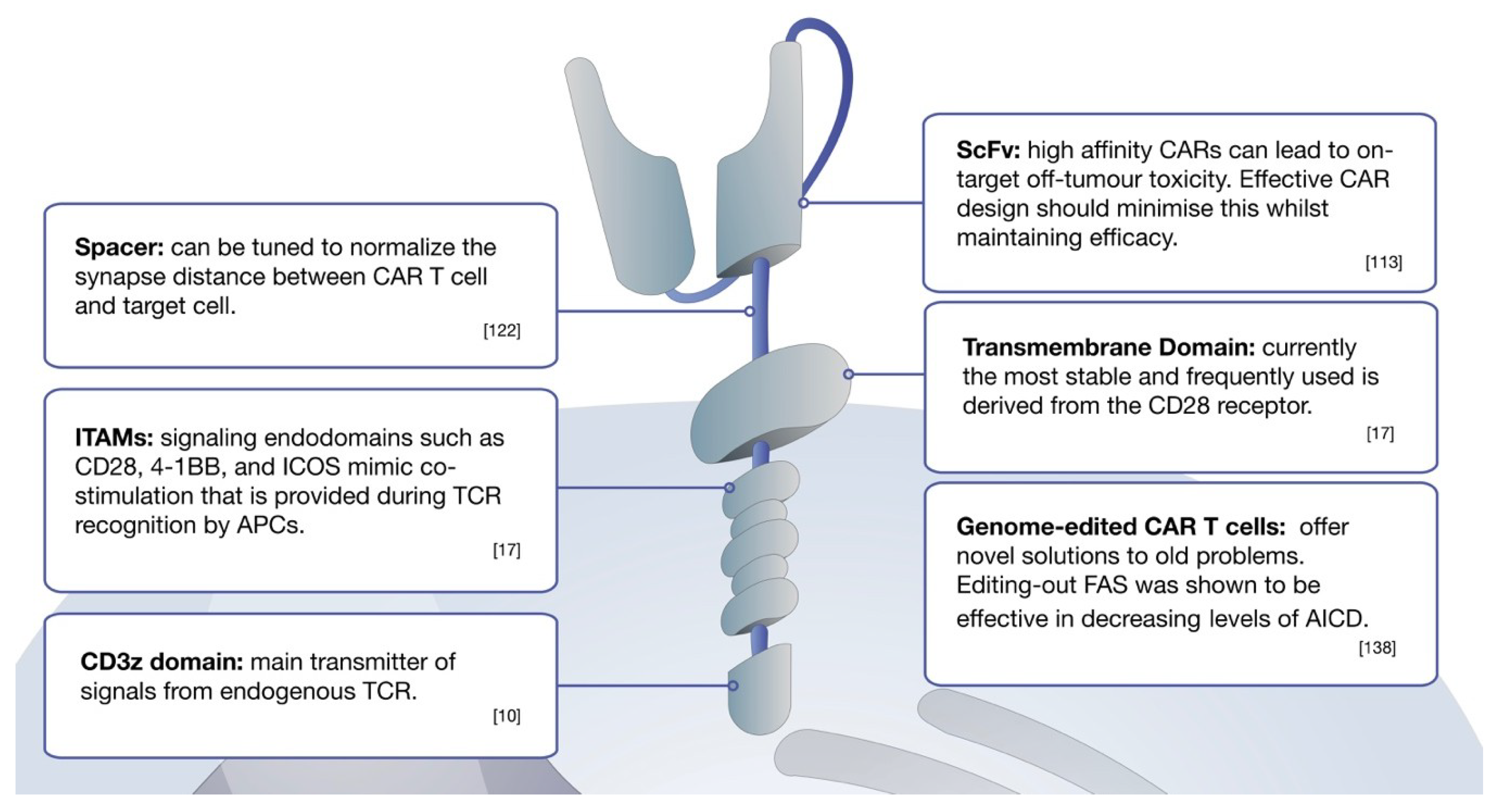 neuroendocrine carcinoma mesothelioma