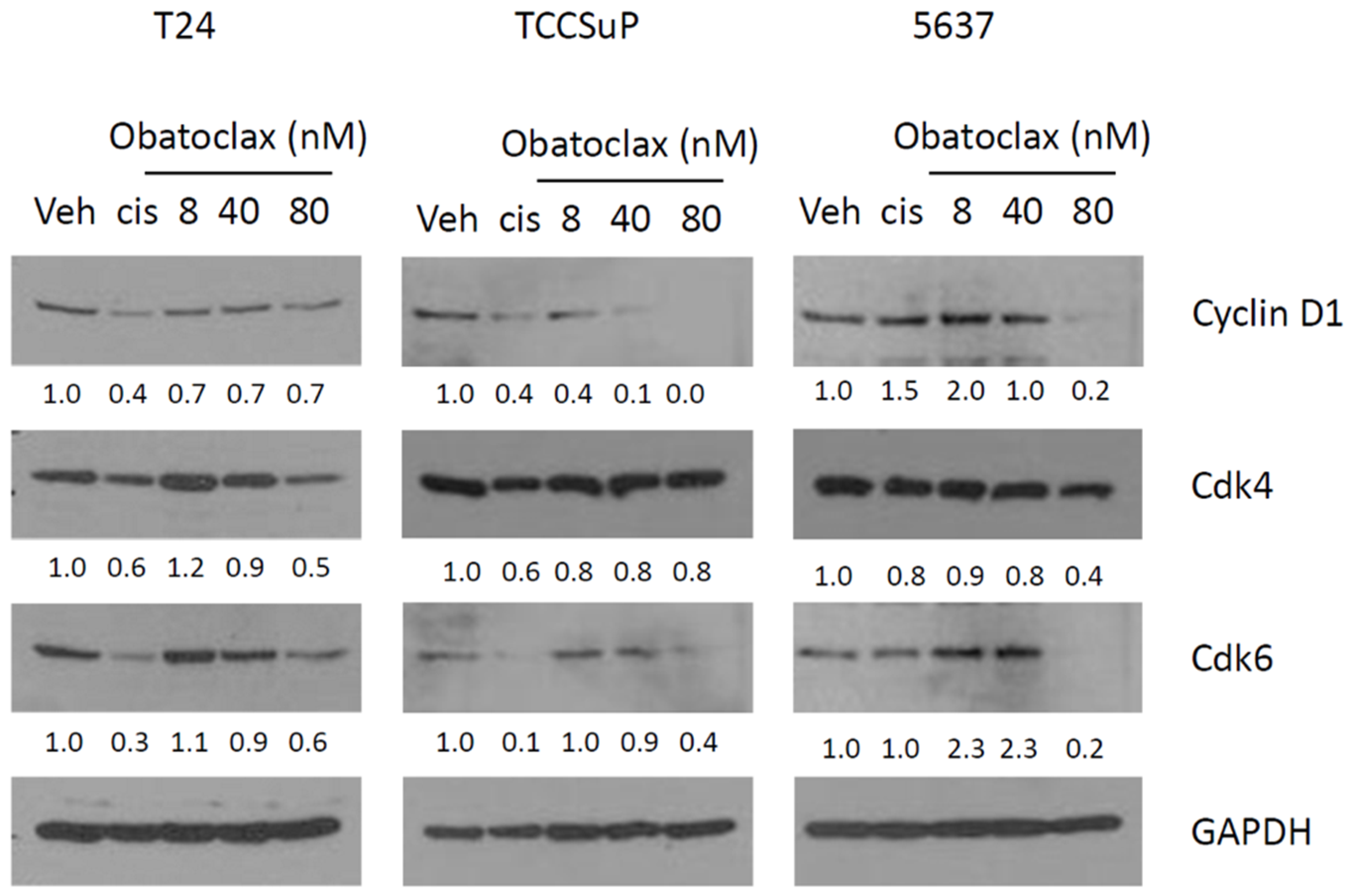 Ijms 20 01285 g005 Ijms 20 01285 g005