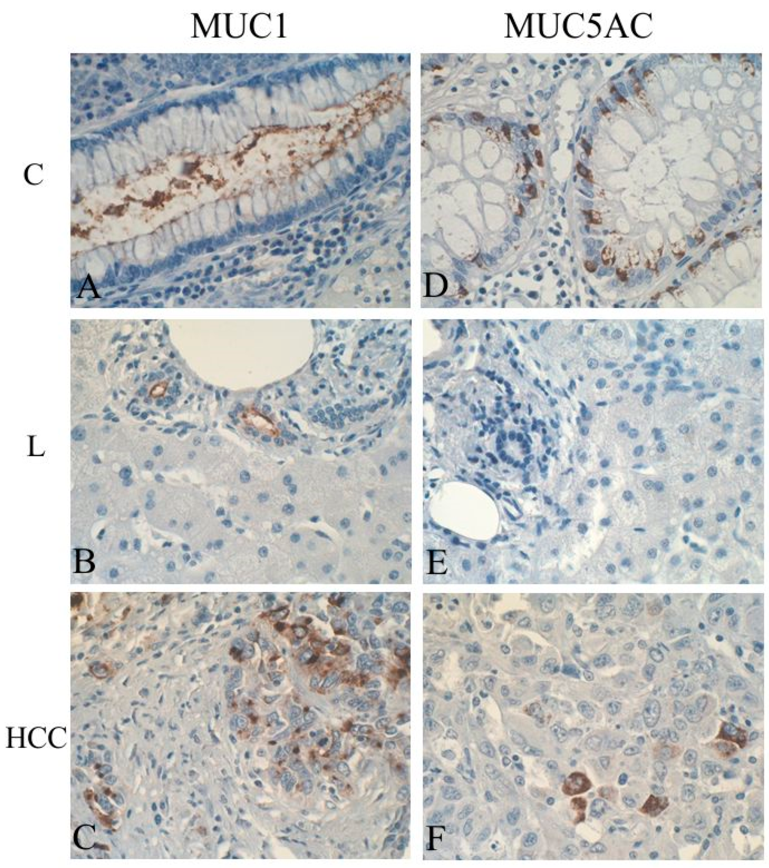 Ijms 20 01288 g002 Ijms 20 01288 g002