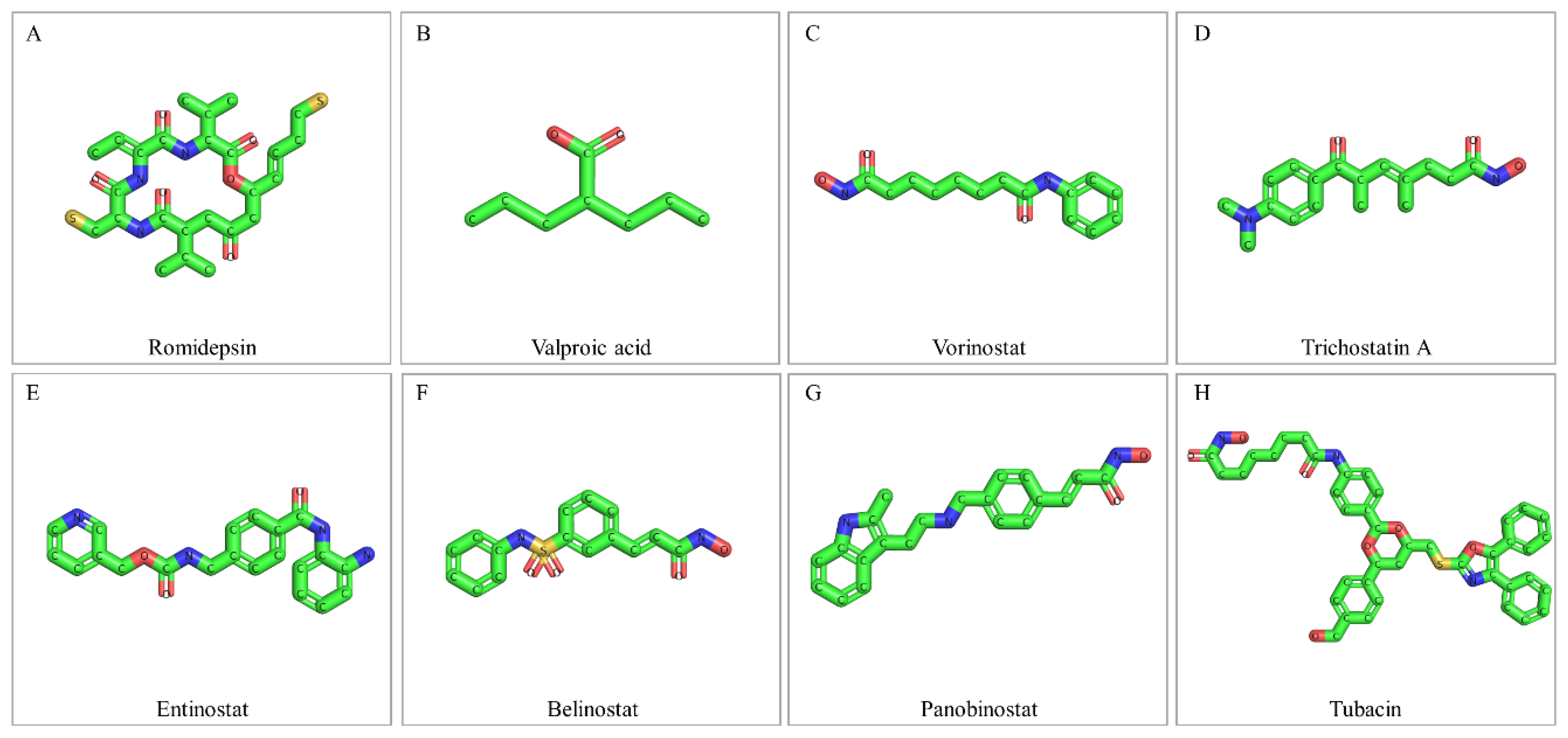Ijms 20 01291 g004 Ijms 20 01291 g004