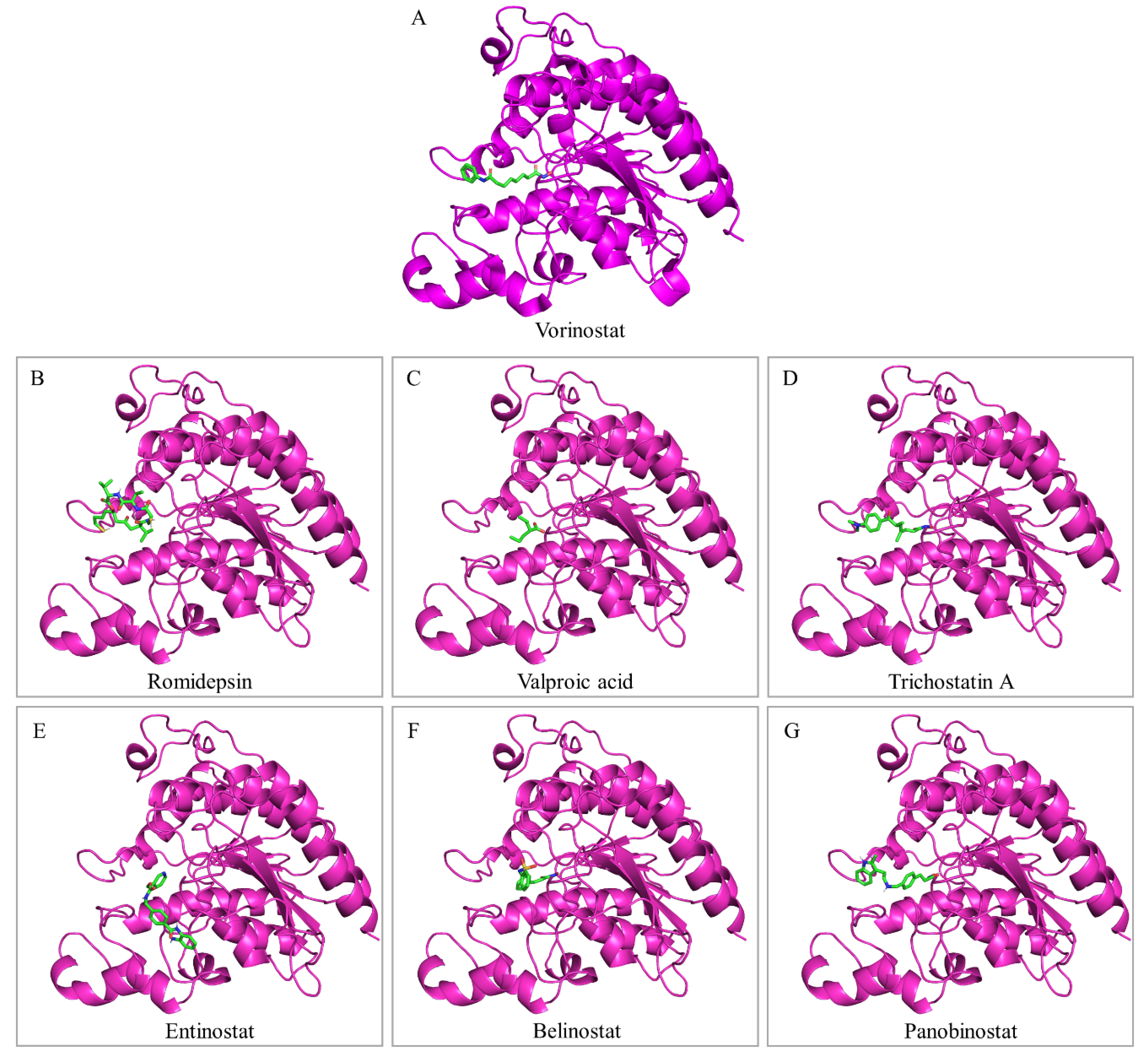 Ijms 20 01291 g005 Ijms 20 01291 g005