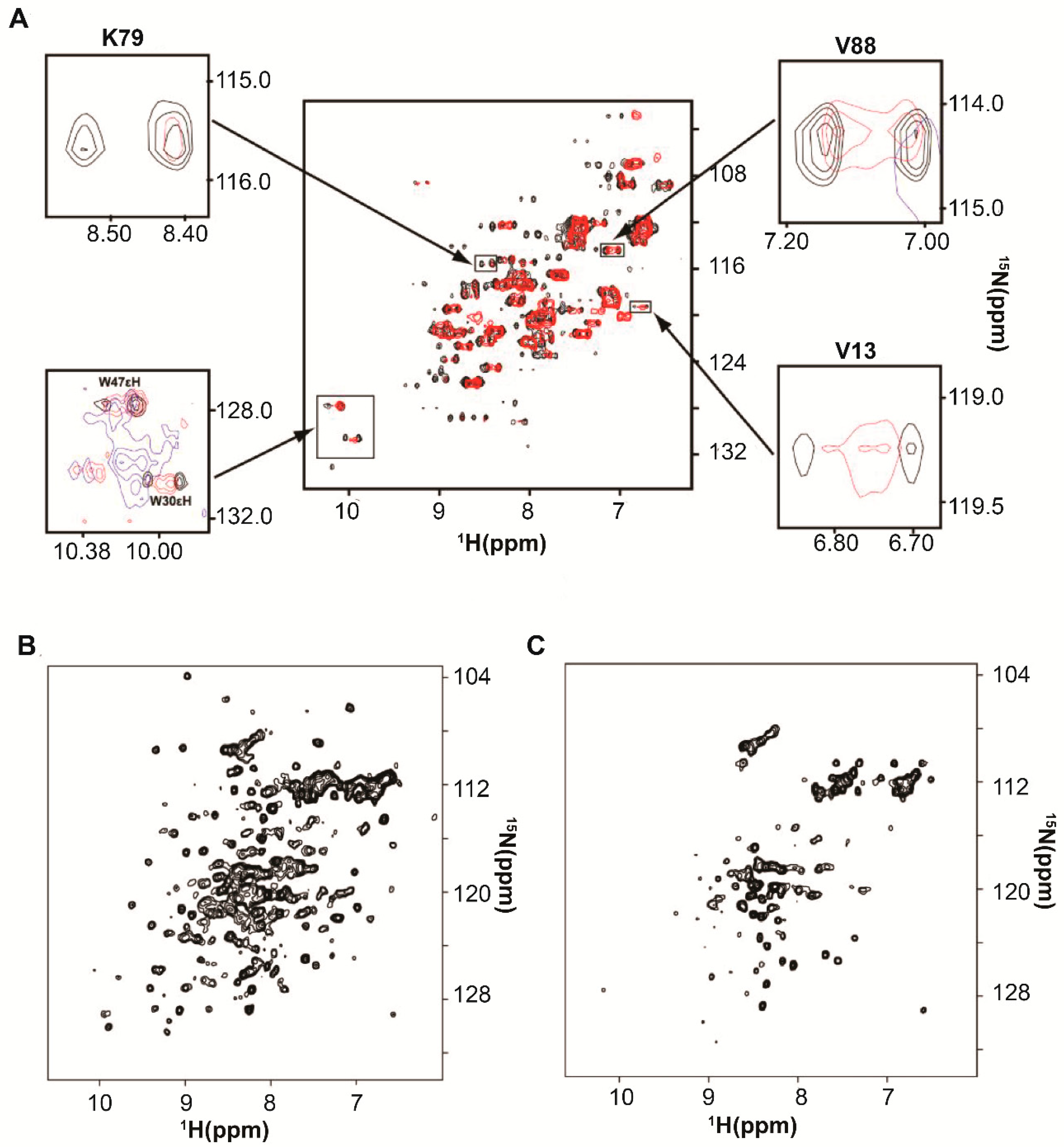 Ijms 20 01297 g008 Ijms 20 01297 g008