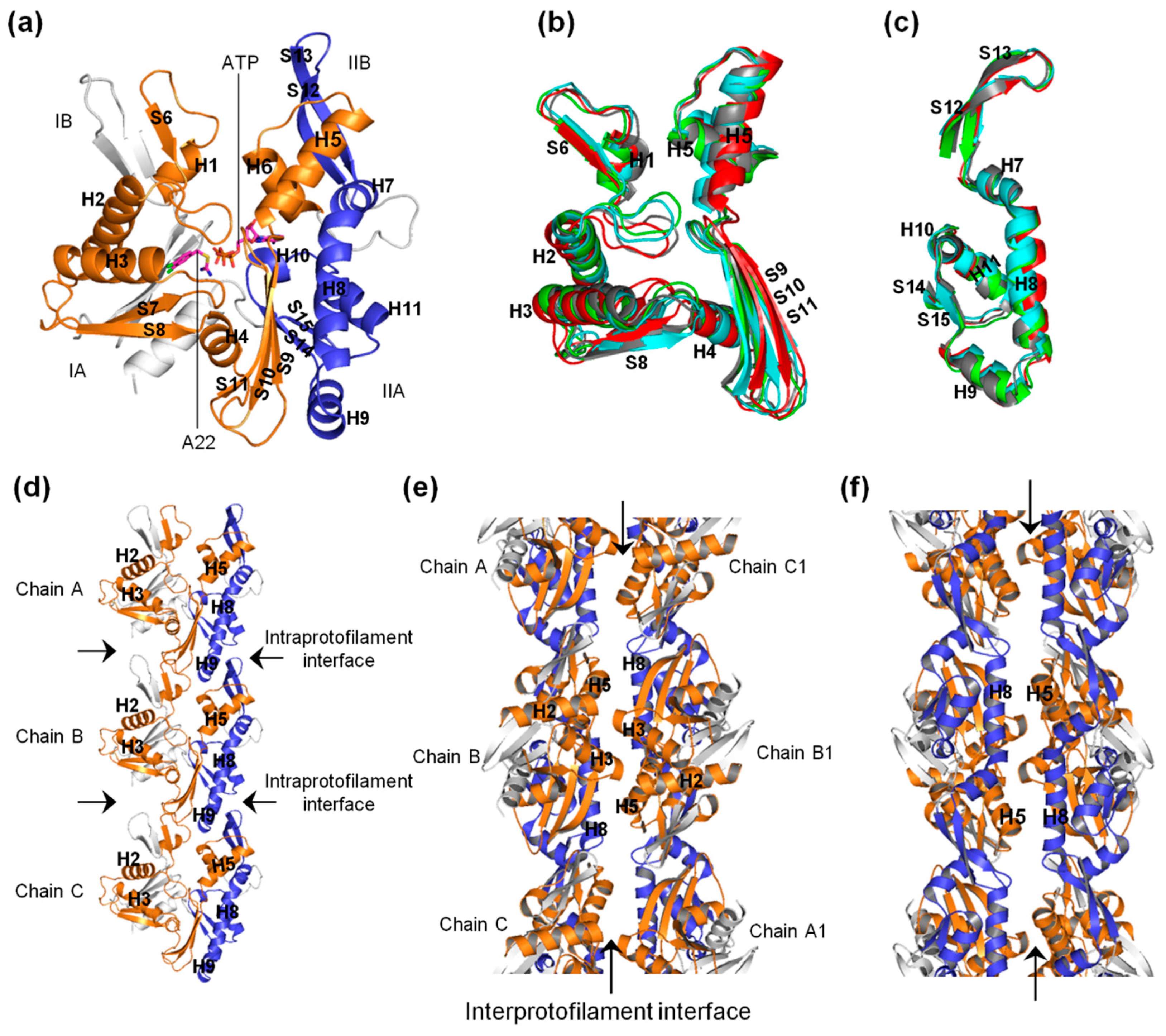 Ijms 20 01304 g007