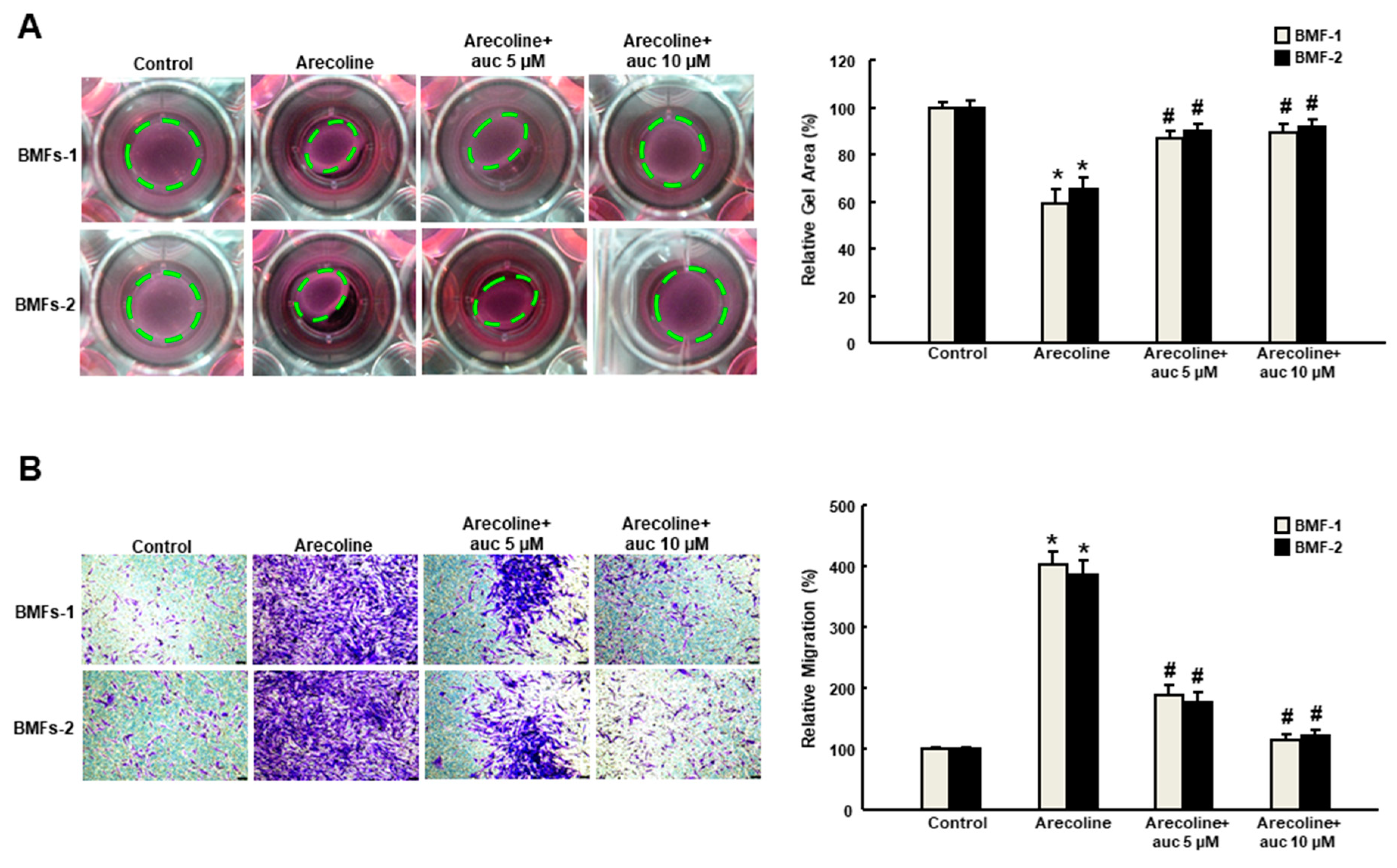 Ijms 20 01328 g002 Ijms 20 01328 g002
