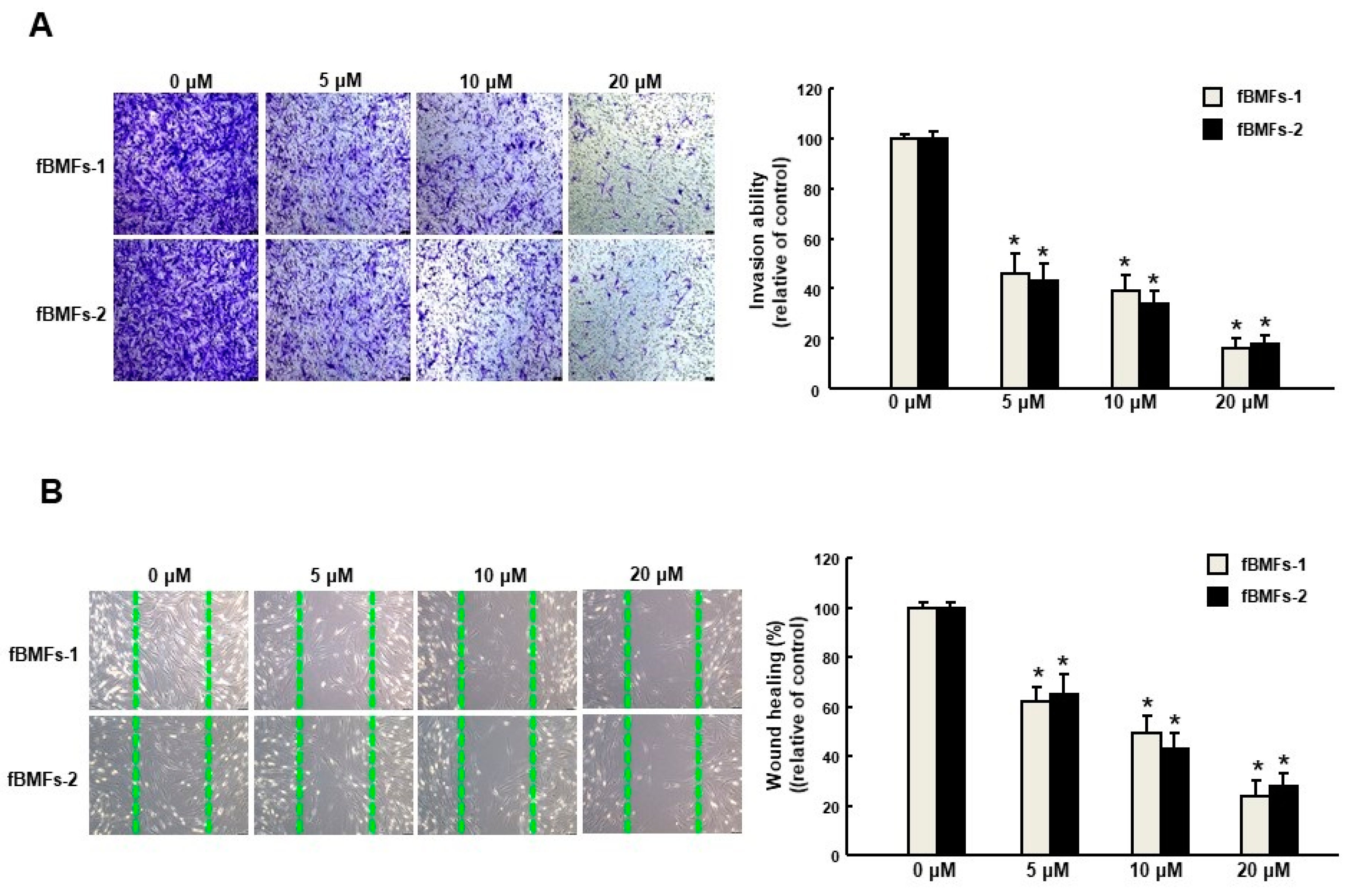 Ijms 20 01328 g005 Ijms 20 01328 g005