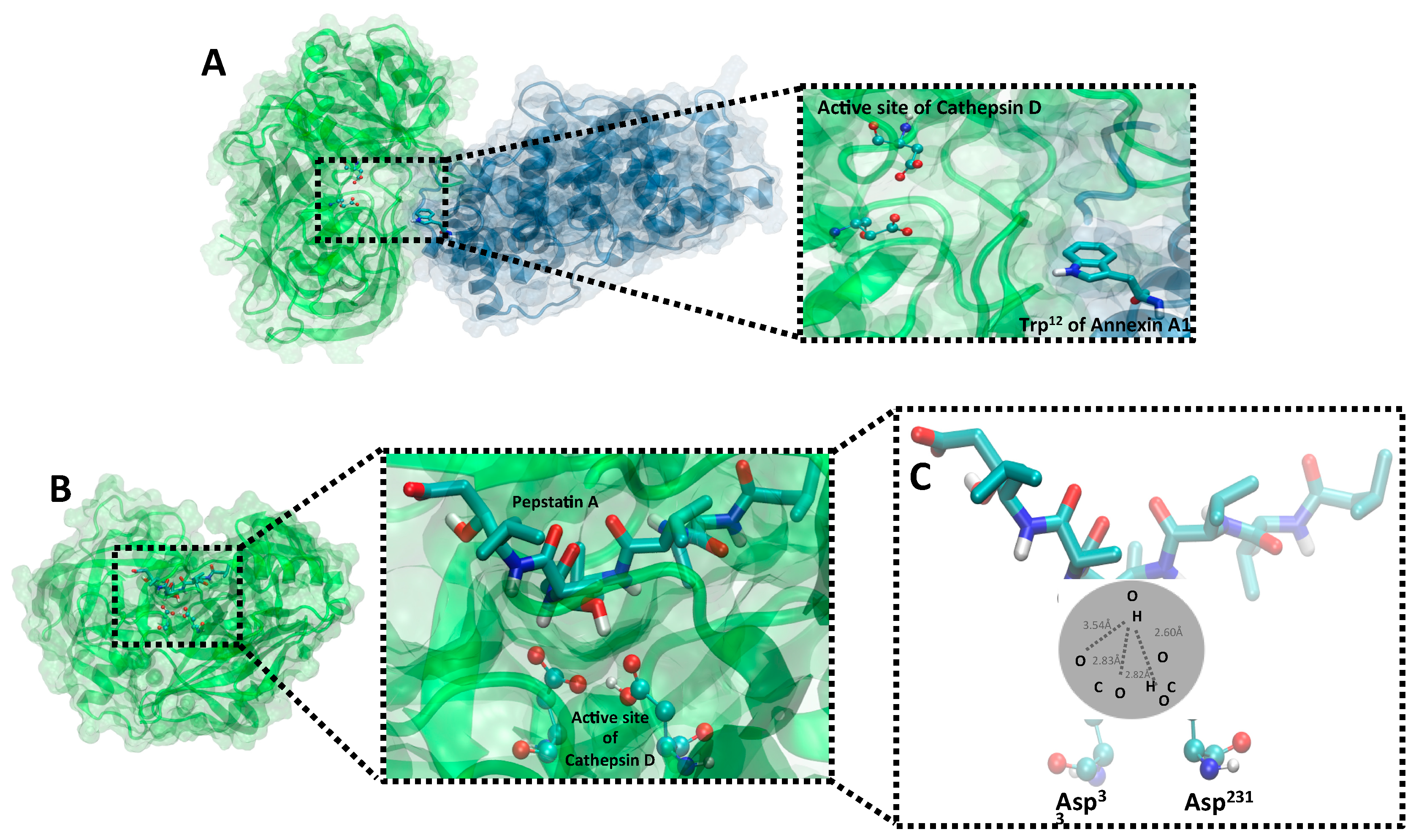 Ijms 20 01337 g006 Ijms 20 01337 g006