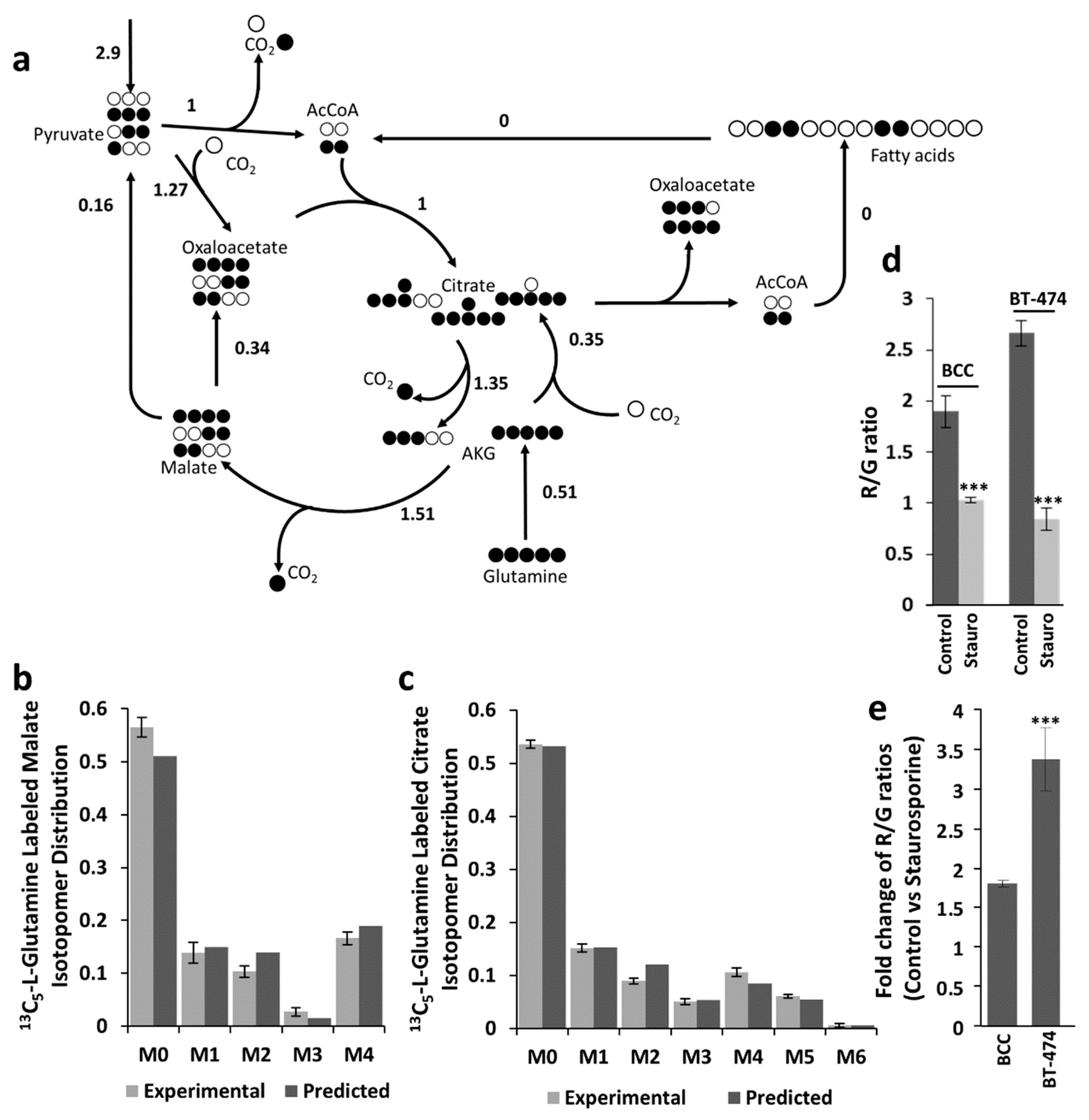 Ijms 20 01348 g004 Ijms 20 01348 g004