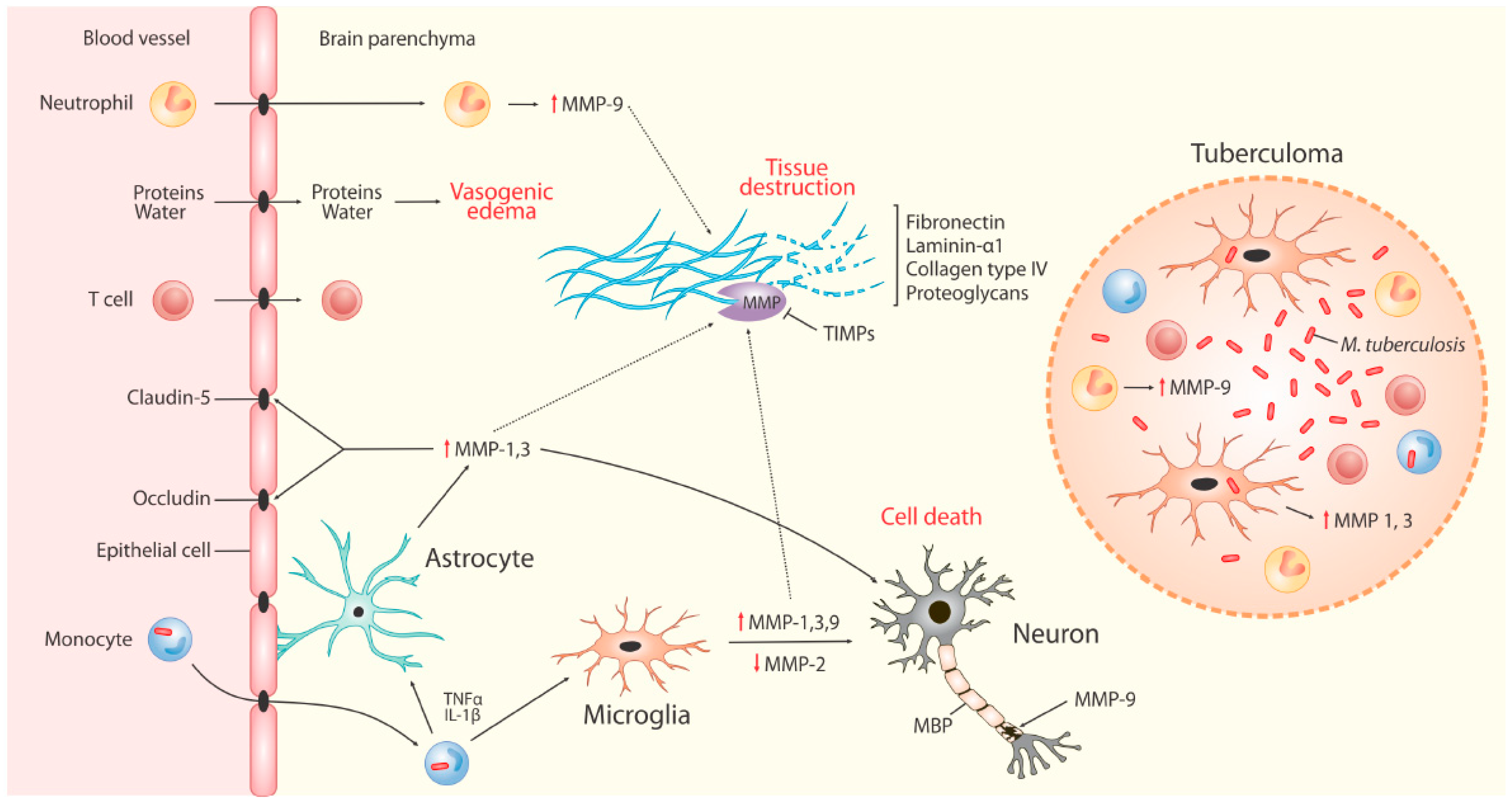 Ijms 20 01350 g002 Ijms 20 01350 g002