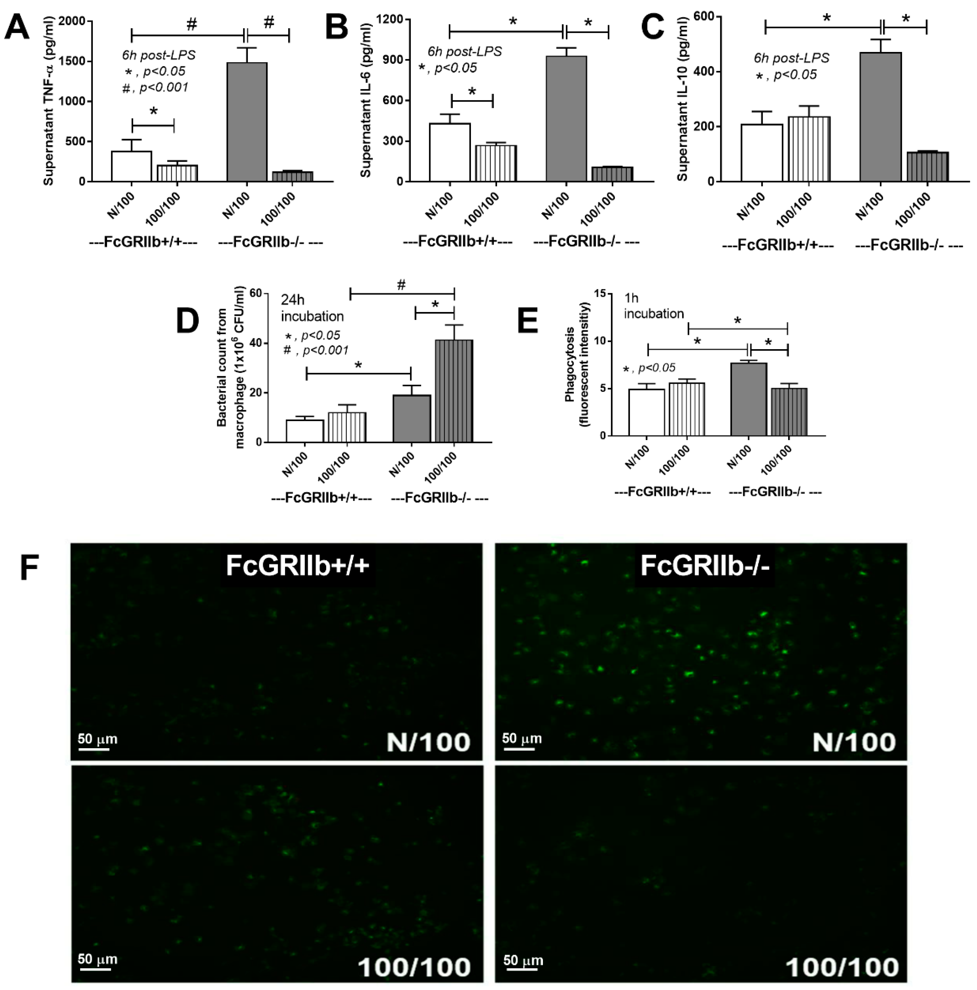 Ijms 20 01354 g001