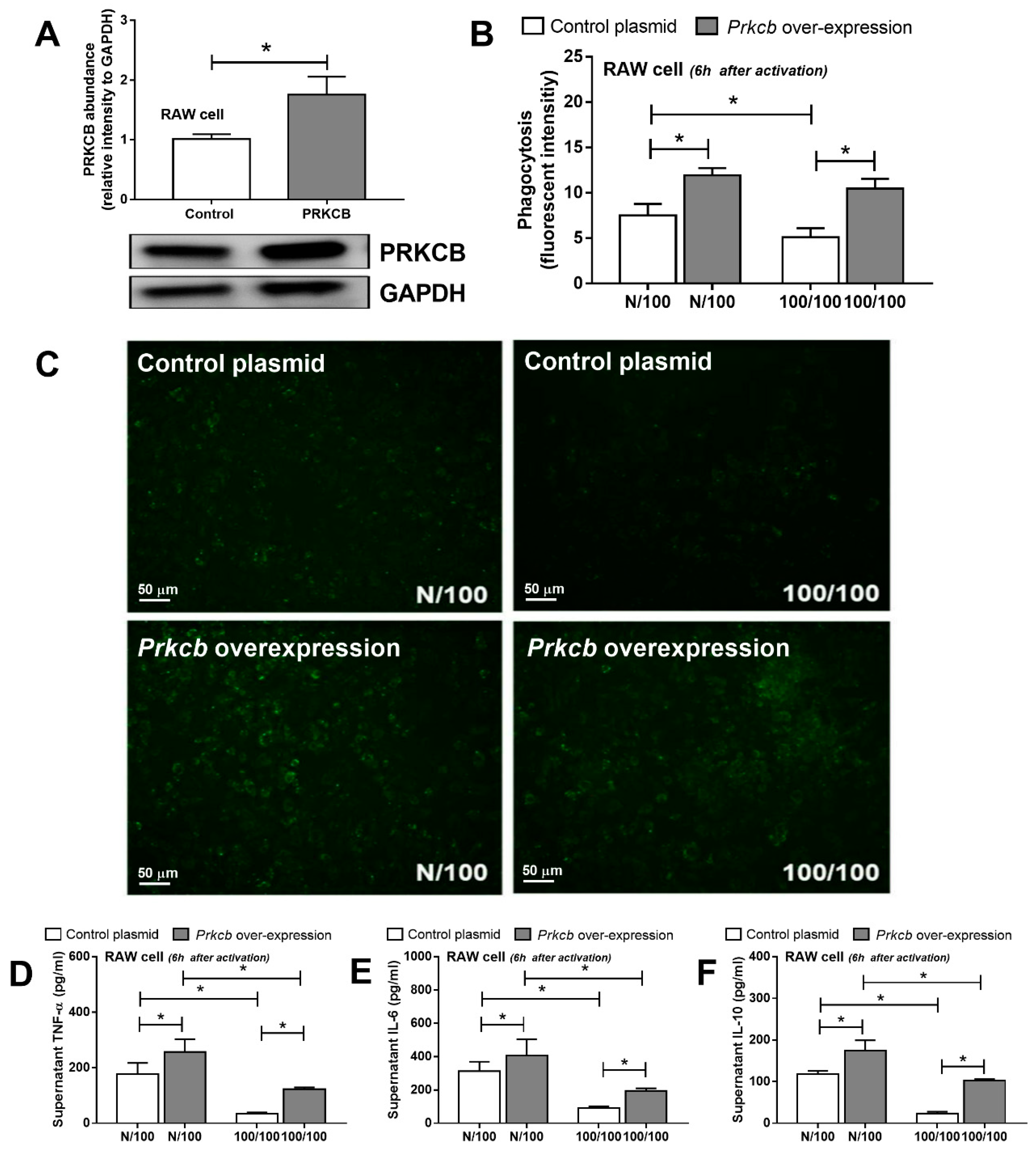 Ijms 20 01354 g003